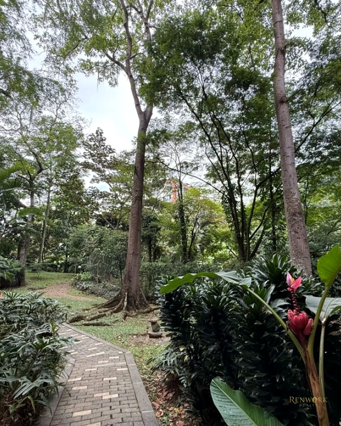 VENTA APARTAMENTO PATIO BONITO 168,38 MTS2 LA MEJOR ZONA ESQUINERO · foto 21