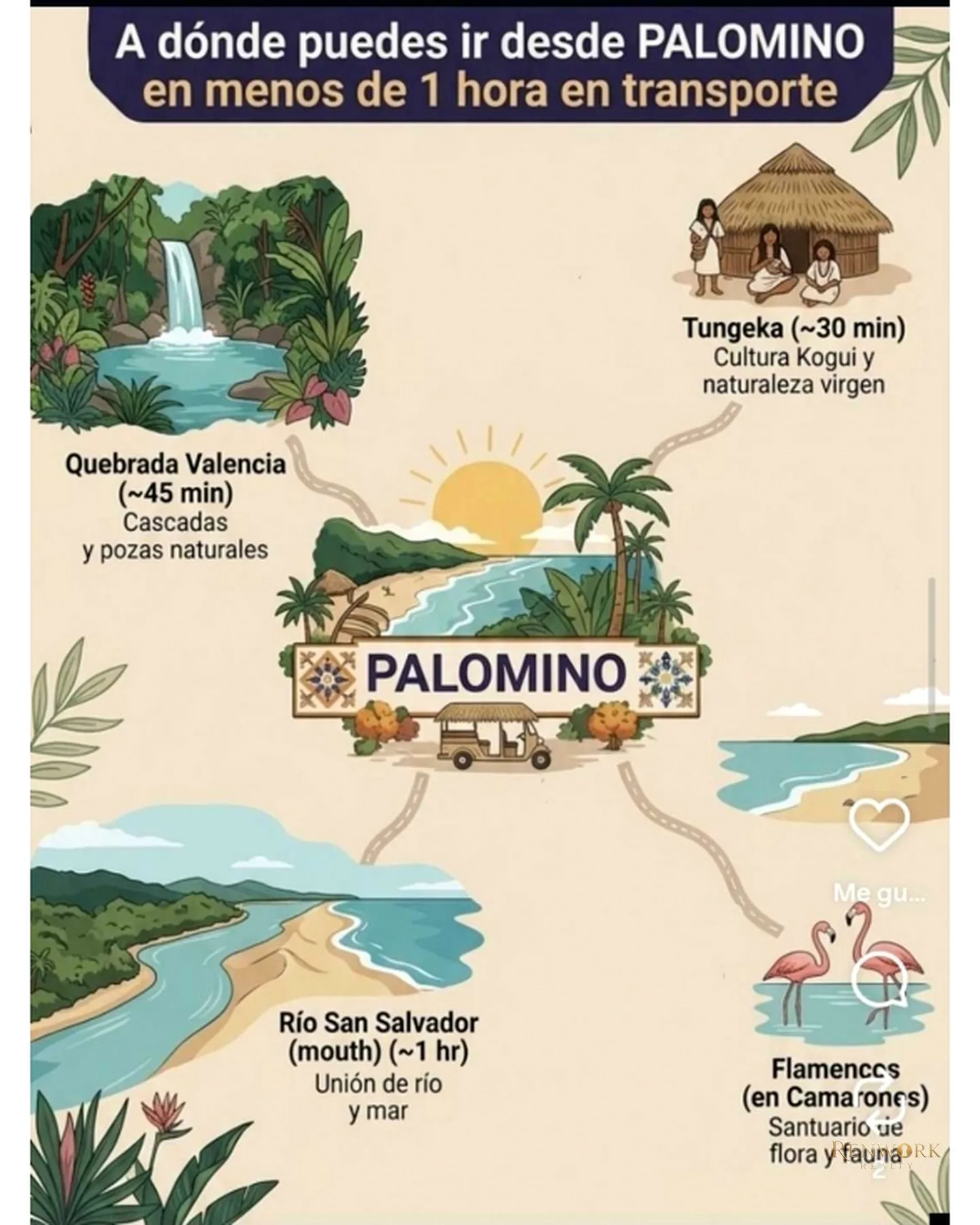 VENTA CABAÑA-PALOMINO-BAJA GUAJIRA-NORTE-COLOMBIA · foto 12