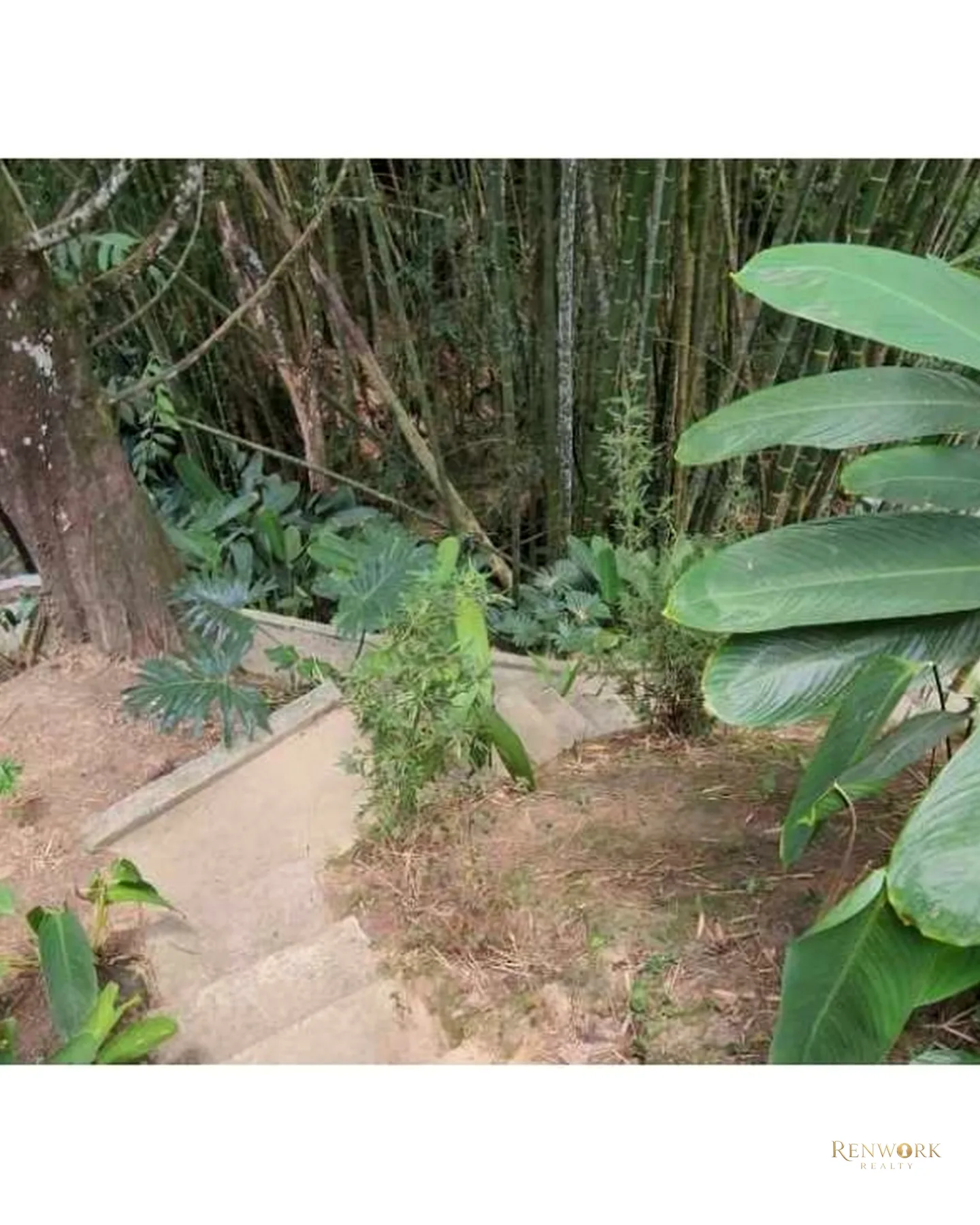 VENTA CASA CAMPESTRE EL POBLADO EN UNIDAD PARTE ALTA DE EL TESORO · foto 13