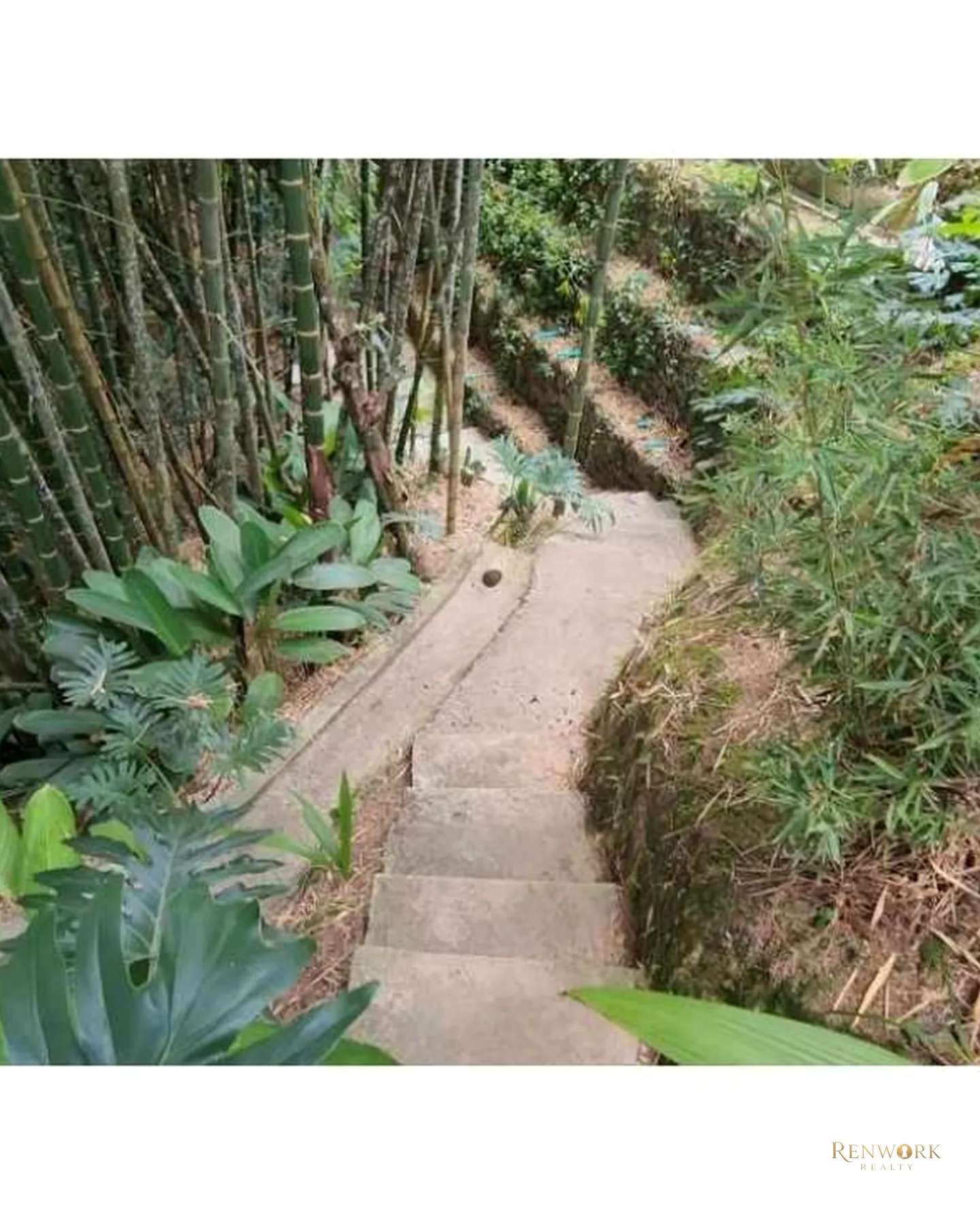 VENTA CASA CAMPESTRE EL POBLADO EN UNIDAD PARTE ALTA DE EL TESORO · foto 19