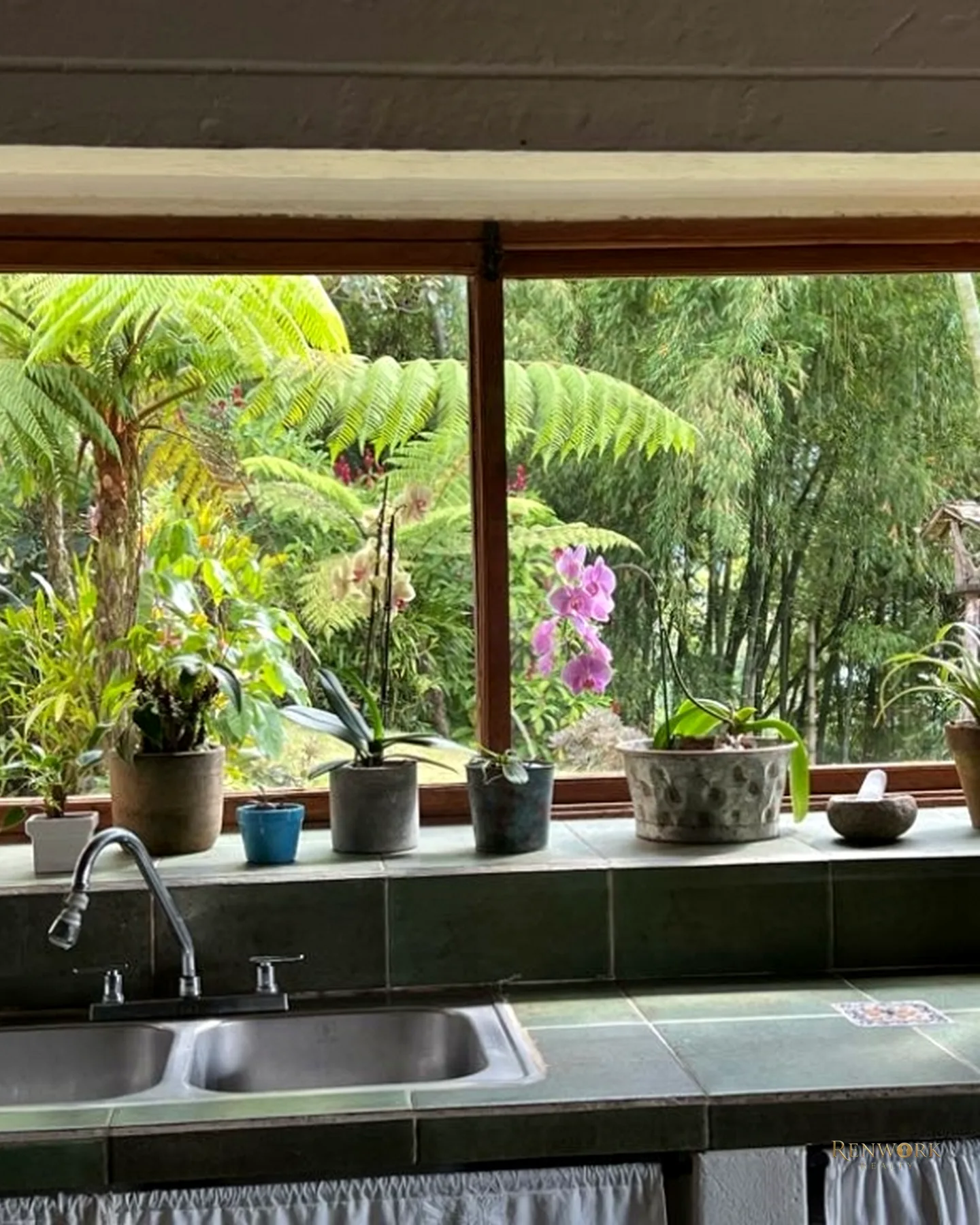 VENTA CASA CAMPESTRE LA TABLAZA LA ESTRELLA 5600 MTS2 CONS 320 · foto 4