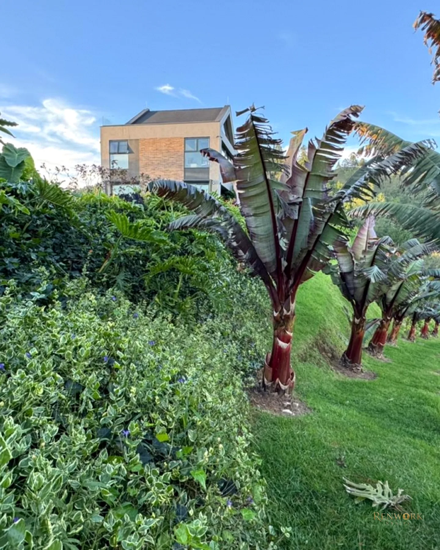 VENTA CASA CAMPESTRE PANTANILLO EL RETIRO 530,15 MTS2 · foto 14