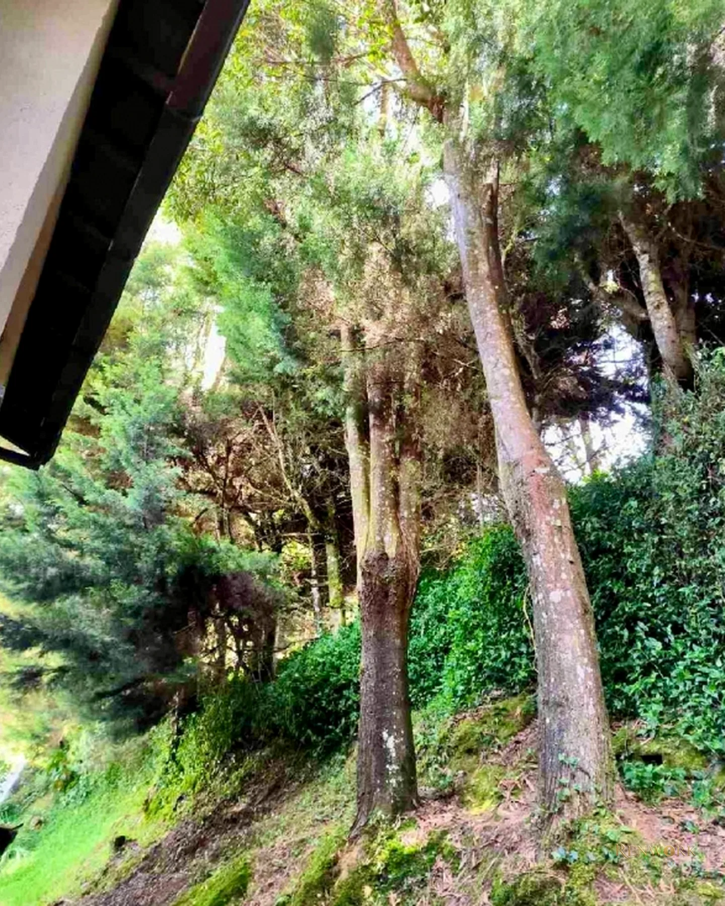 VENTA CASA EN ESCOBERO PARCELACION SAN LUIS · foto 17