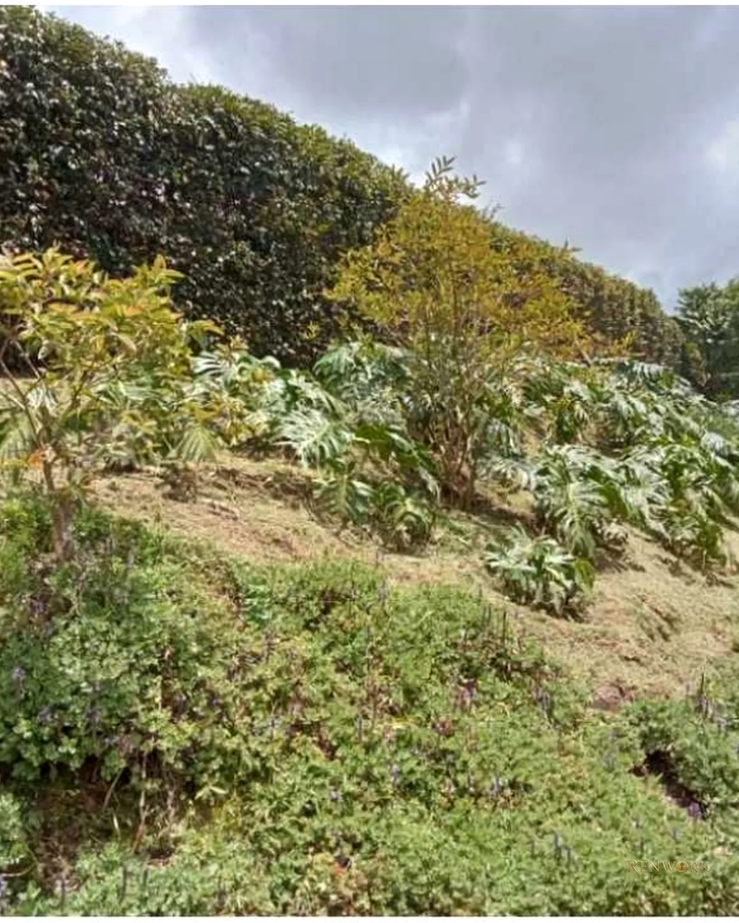 VENTA CASA FINCA EN EL ESCOBERO CERCA AL PEAJE DE LAS PALMAS · foto 21