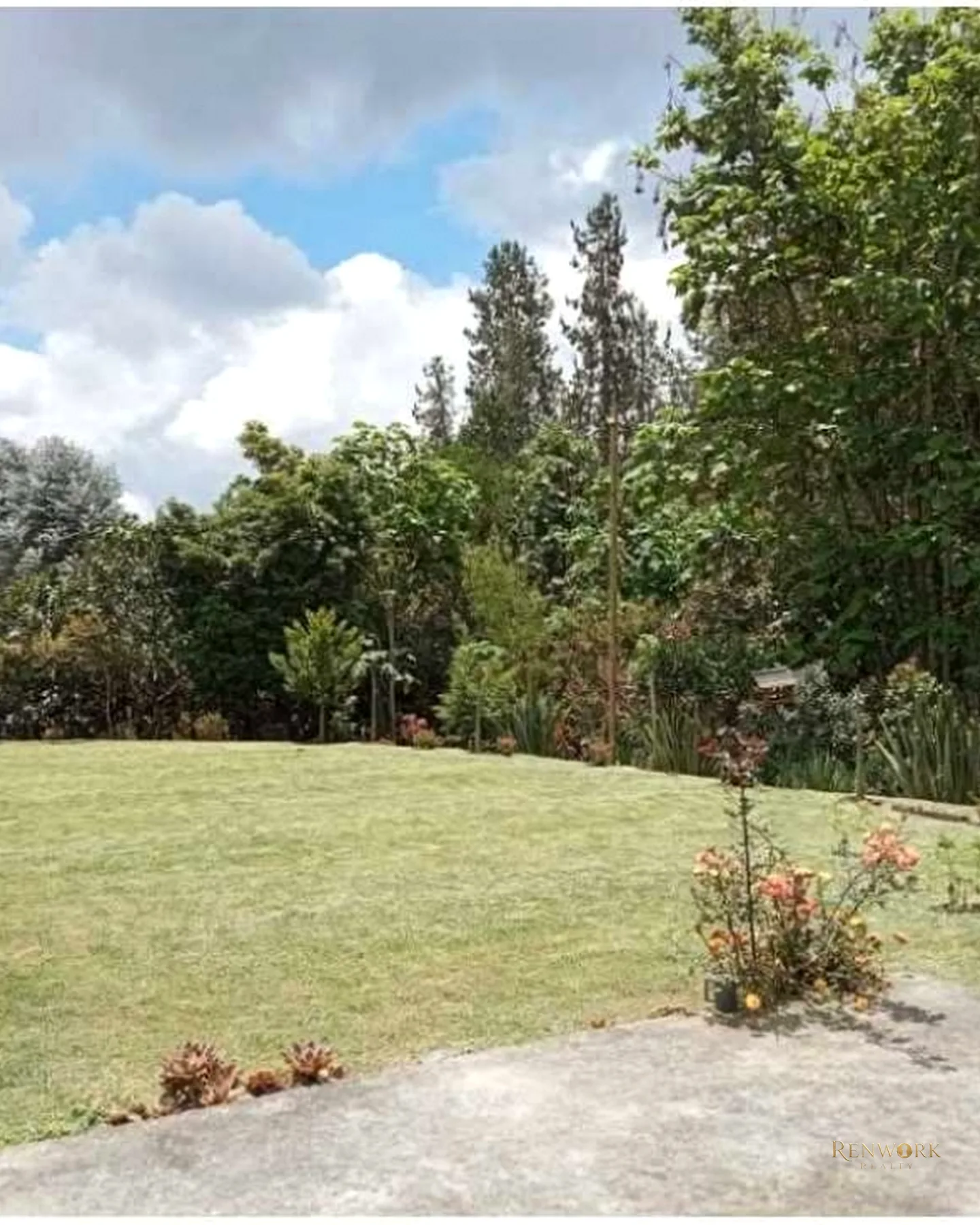VENTA CASA FINCA EN EL ESCOBERO CERCA AL PEAJE DE LAS PALMAS · foto 22
