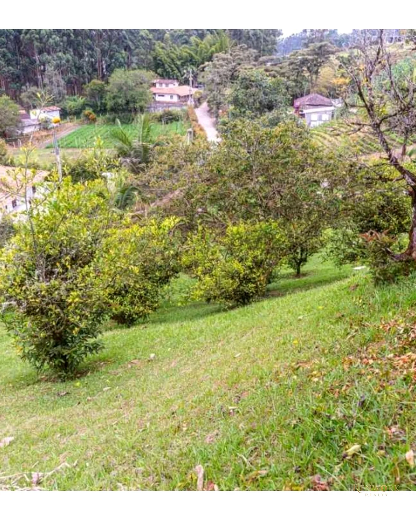 VENTA CASA FINCA SAN CARMEN DE VIBORAL VEREDA PALMA 5 MIN DEL PARQUE · foto 12