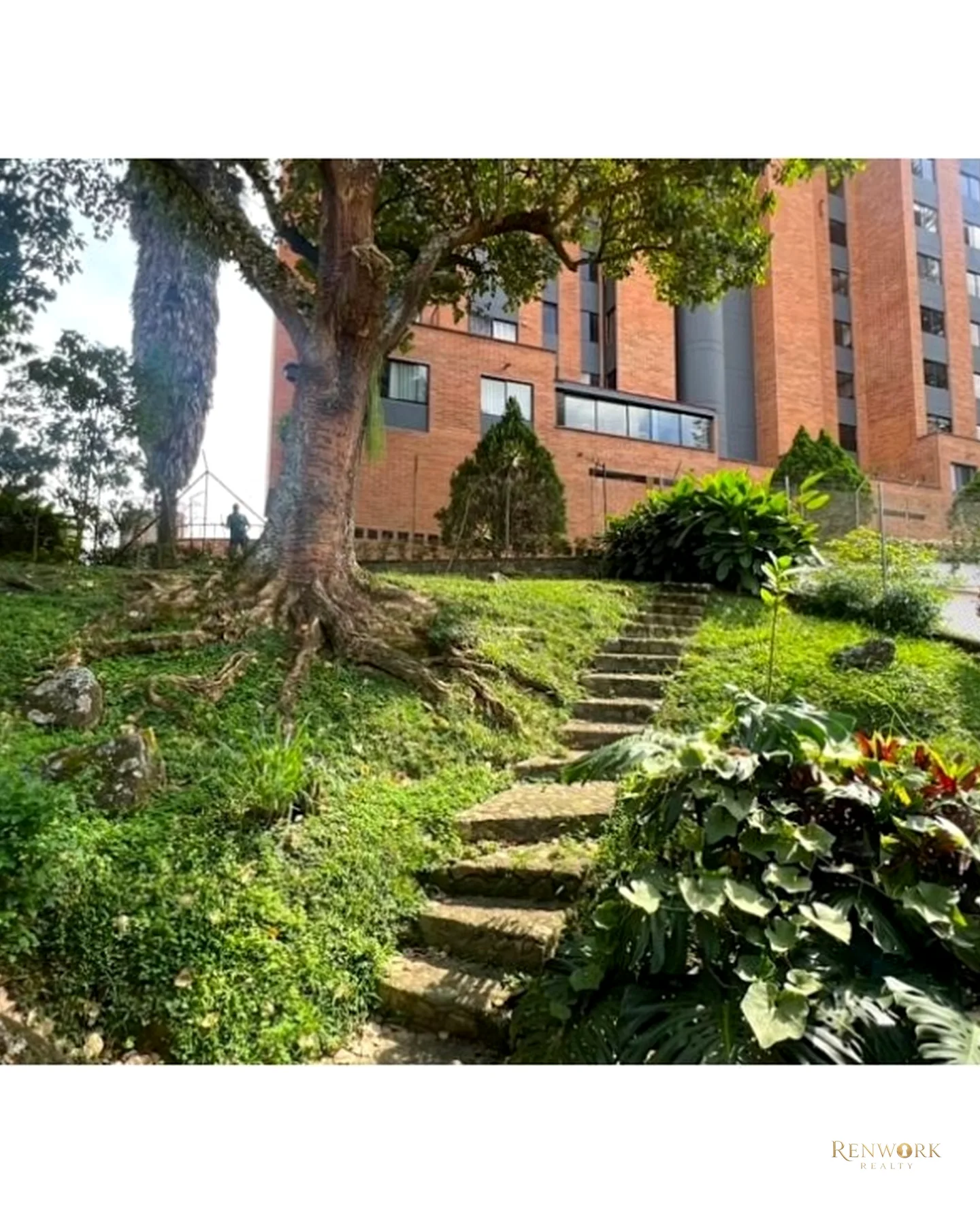 VENTA CASA LOTE USO MIXTO EL POBLADO LAS LOMAS · foto 12