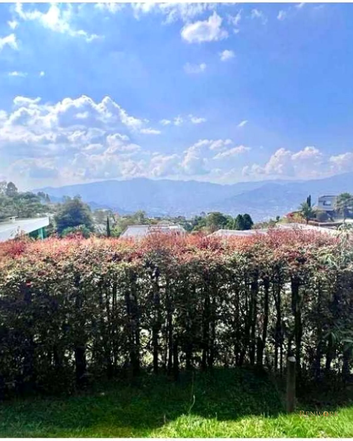 VENTA CASA MODERNA EN UN SOLO NIVEL CON PISCINA LAS PALMAS · foto 23