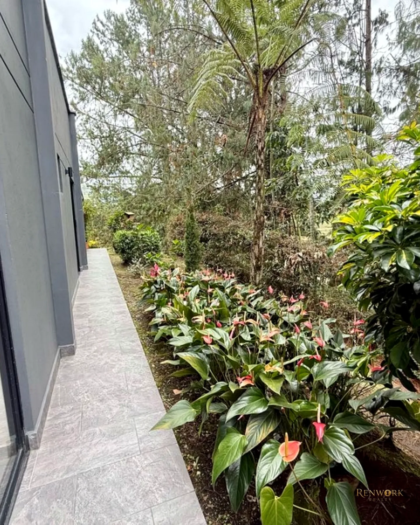 VENTA CASA VÍA RIONEGRO - EL CARMEN · foto 23