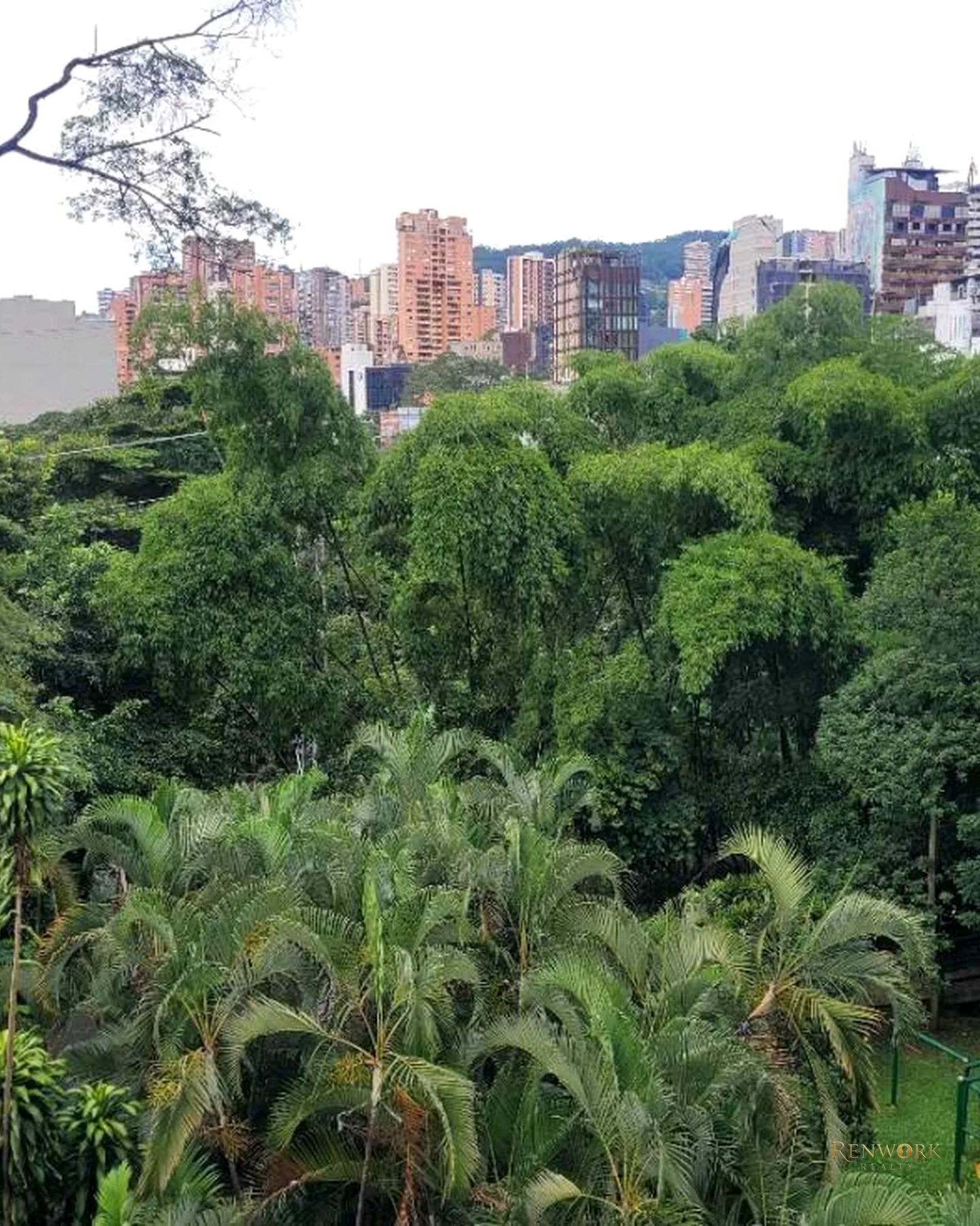 VENTA DE APARTAMENTO REMODELADO CERCA A LA TOMATERA/POBLADO · foto 17