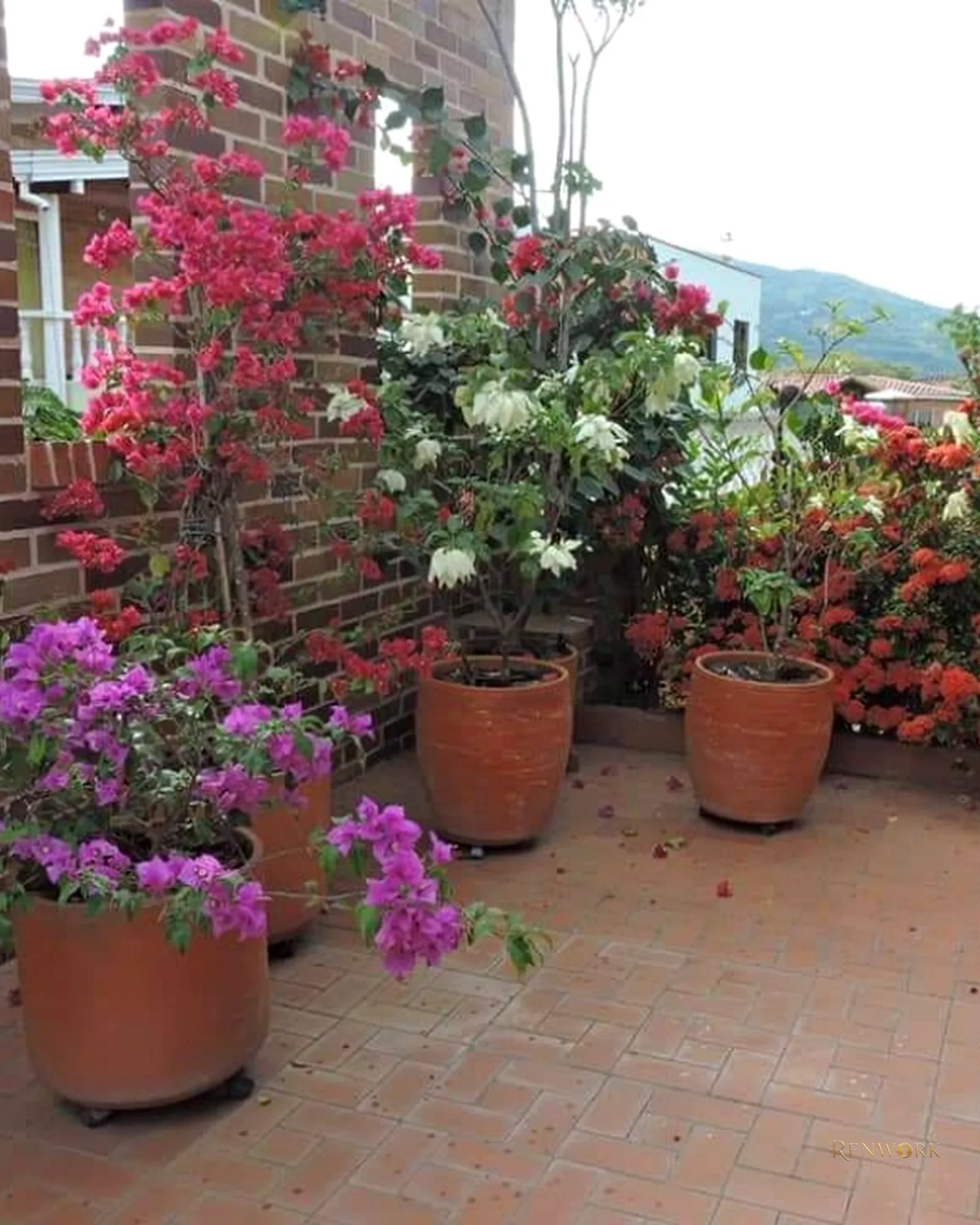 VENTA DE CABAÑA CAMPESTRE Y DE RECREO SAN JERÓNIMO ANTIOQUIA · foto 14