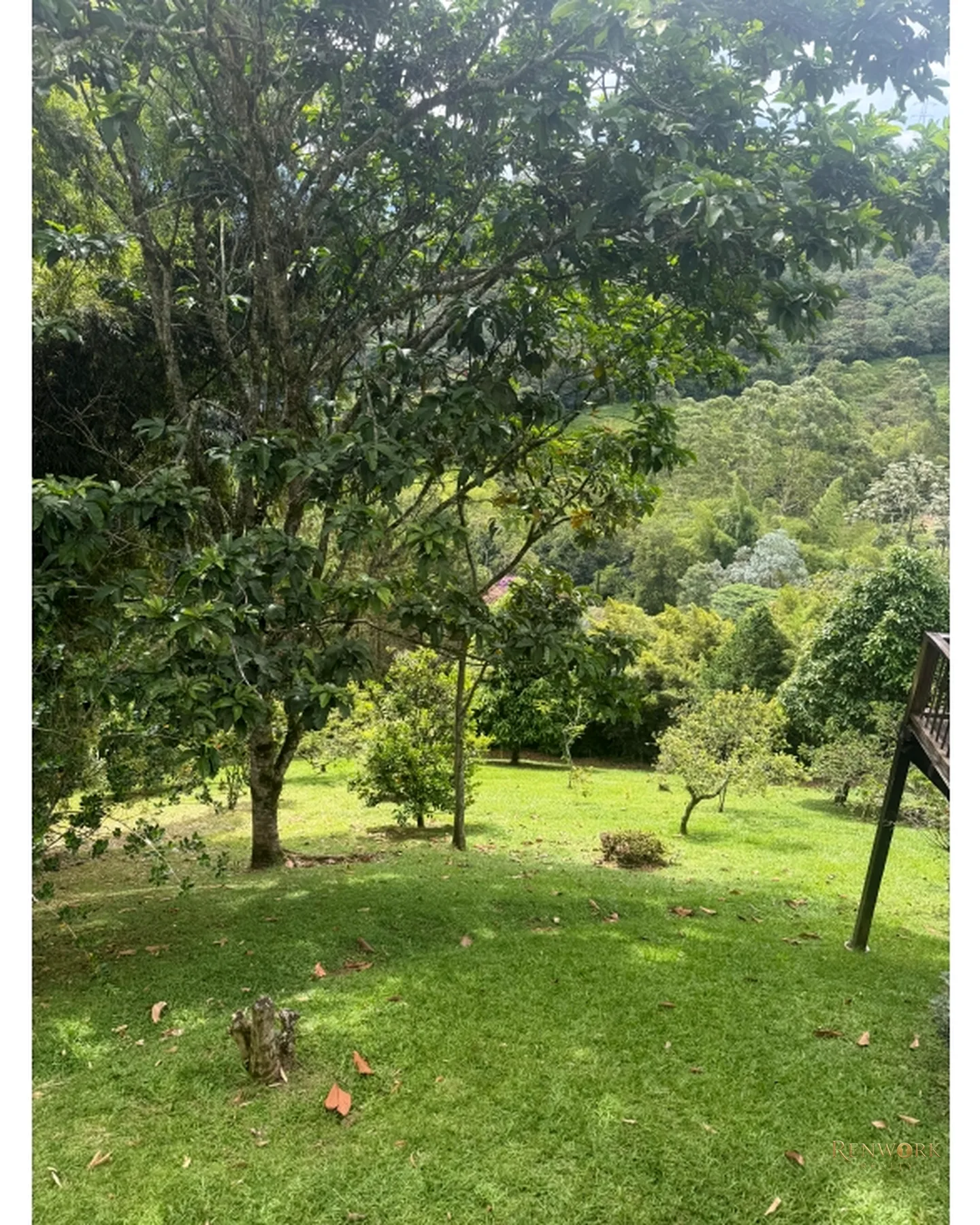 VENTA DE CASA CAMPESTRE SECTOR LA TABLAZA. LA ESTRELLA · foto 19