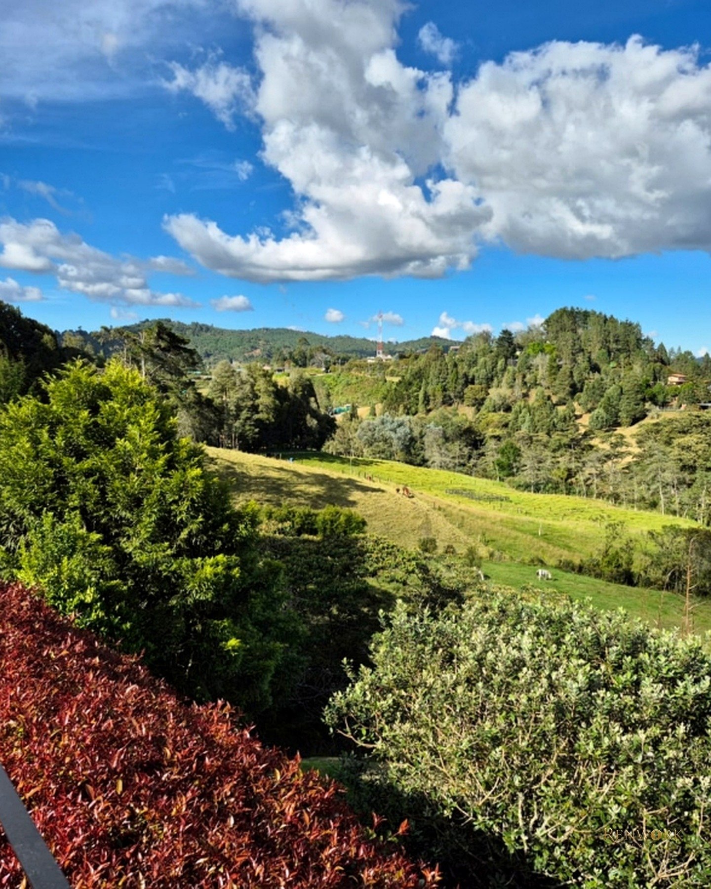 VENTA DE CASA EN EL ESCOBERO, ENVIGADO, VERADA LAS PALMAS · foto 12