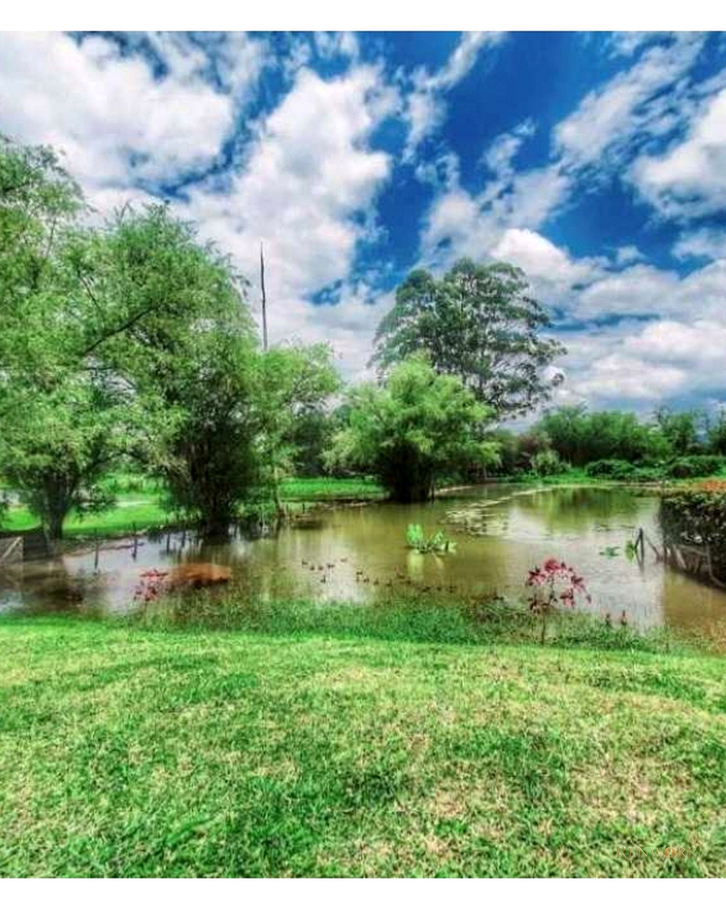 VENTA DE CASA EN LLANOGRANDE CON LAGO PRIVADO. UN SOLO NIVEL. · foto 9