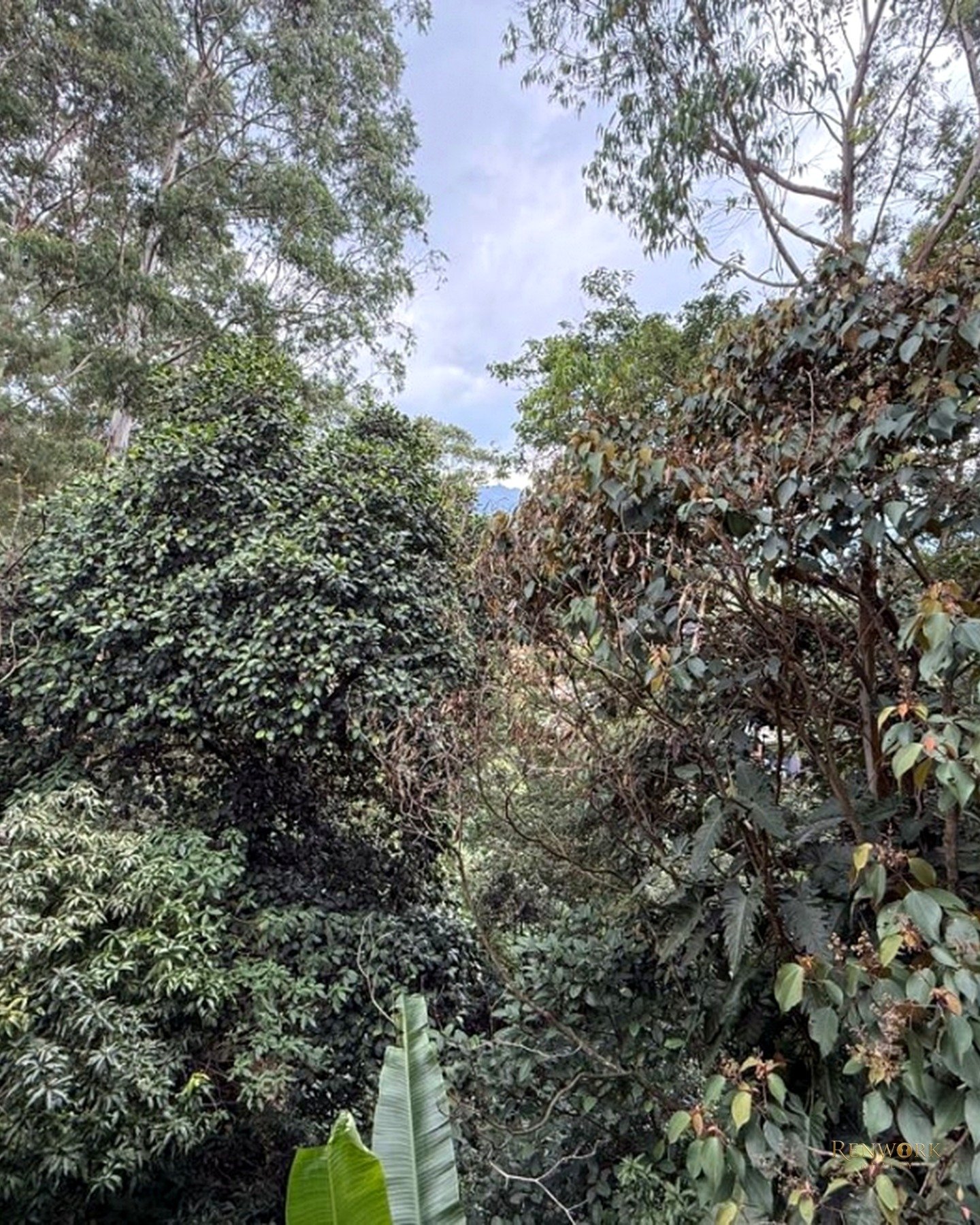 VENTA DE CASA EN LOMA DE LOS BENEDICTINOS, ENVIGADO · foto 10