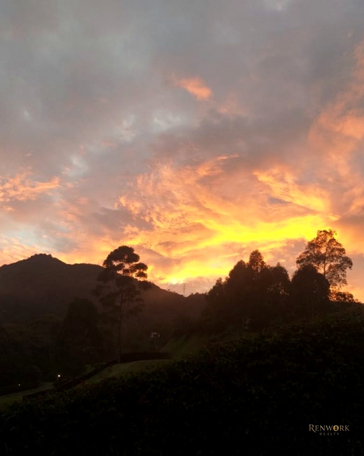 VENTA DE CASA EN PARCELACION SECTOR EL YARUMO LA CEJA ANTIOQUIA · foto 11