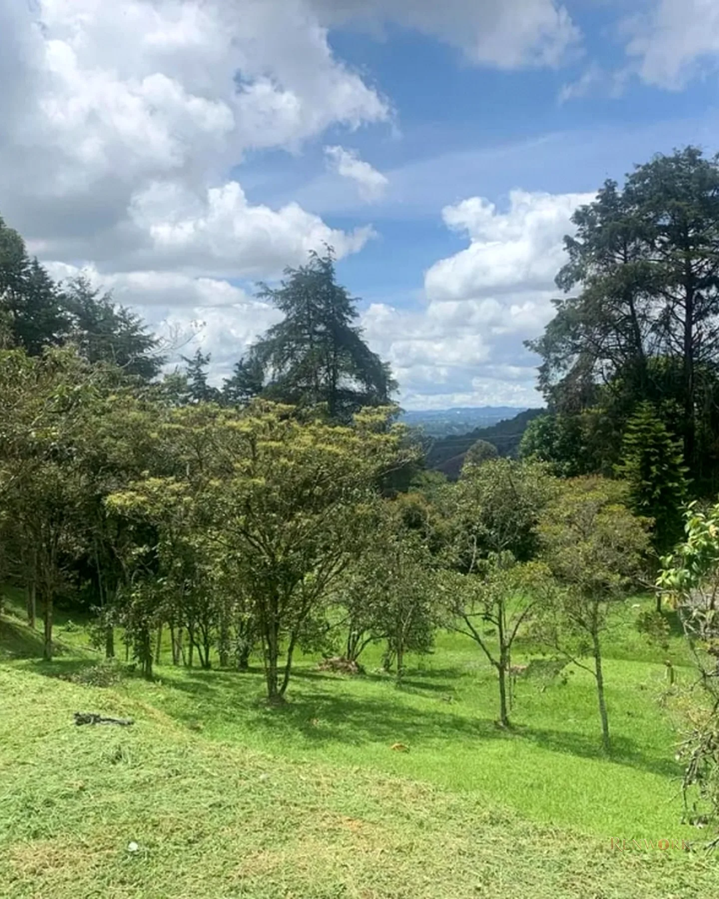 VENTA DE CASA FINCA SECTOR SAJONIA RIONEGRO · foto 21
