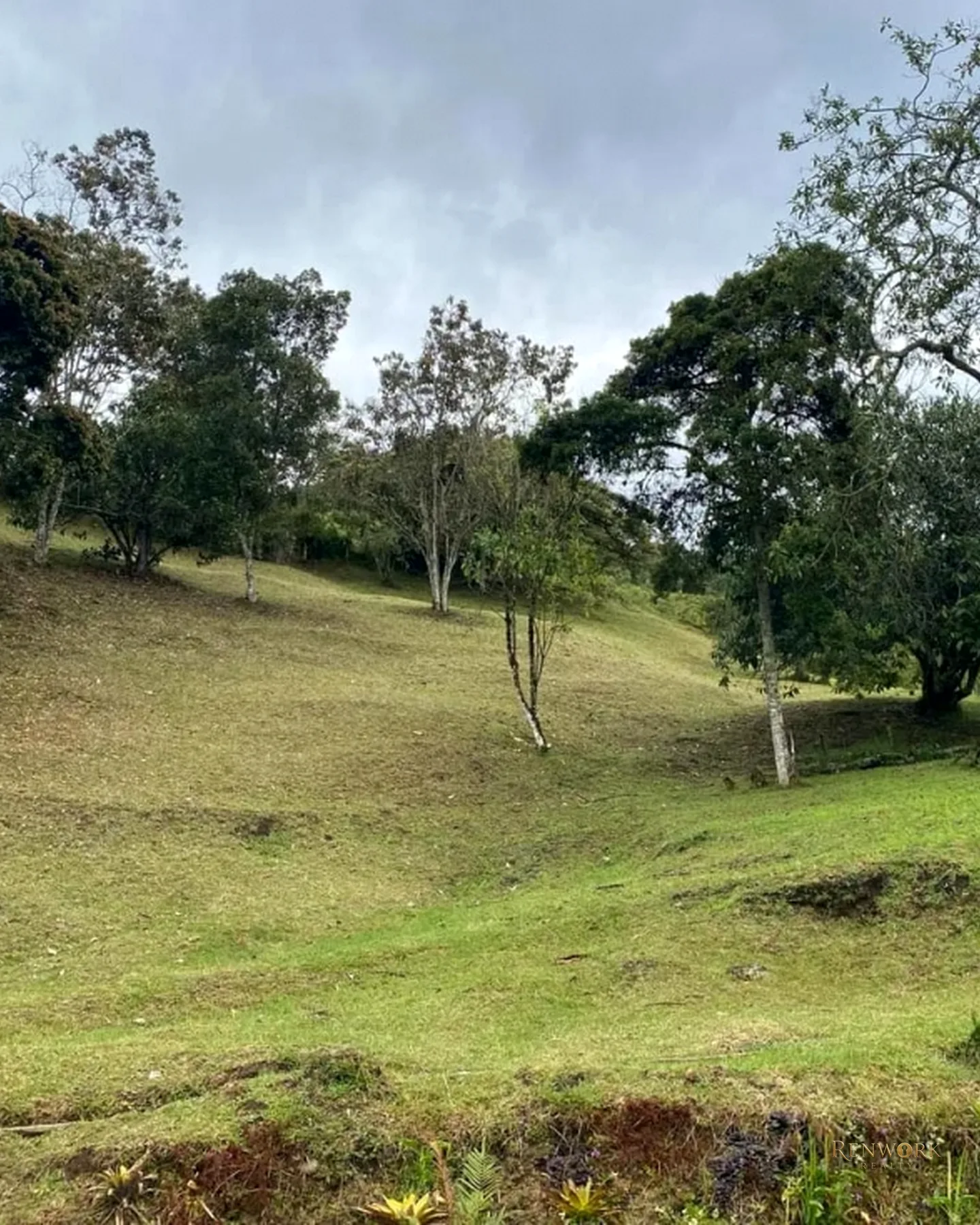 VENTA DE CASA FINCA SECTOR SAJONIA RIONEGRO · foto 17