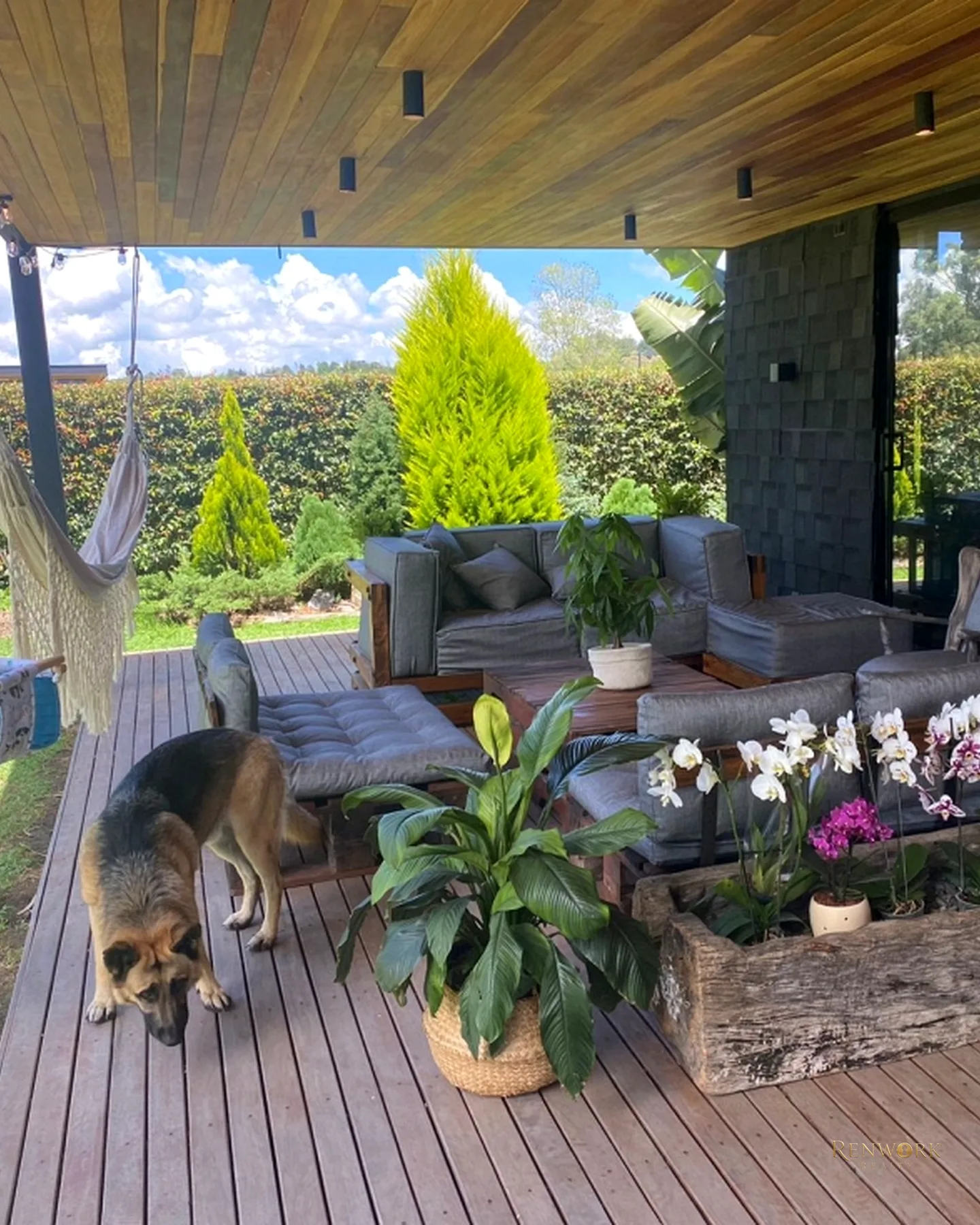 VENTA DE CASA SECTOR ENTRE SAN ANTONIO DE PEREIRA Y LA CEJA · foto 11