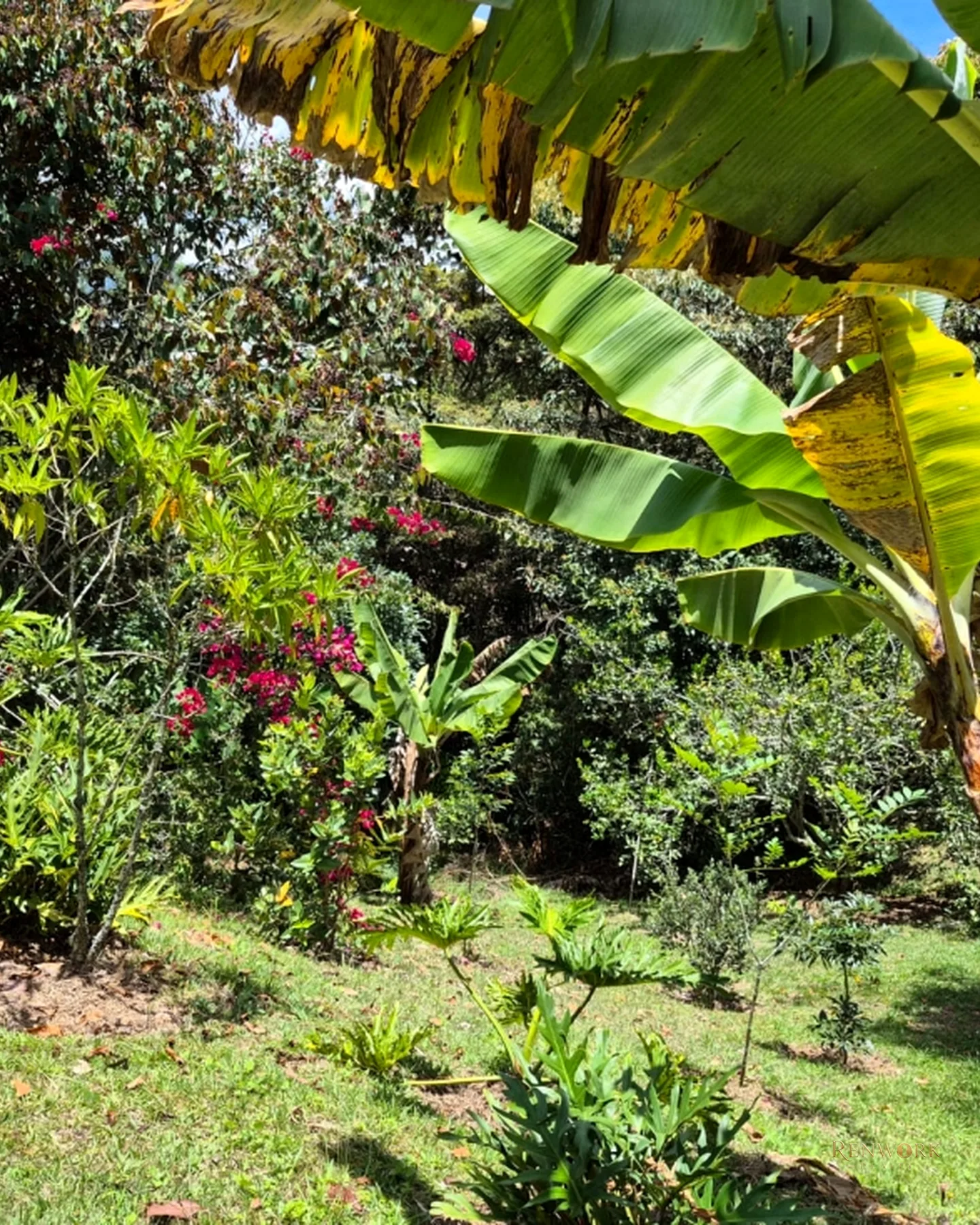 VENTA DE ESPECTACULAR CASA EN HACIENDA EL CAPIRO · foto 22