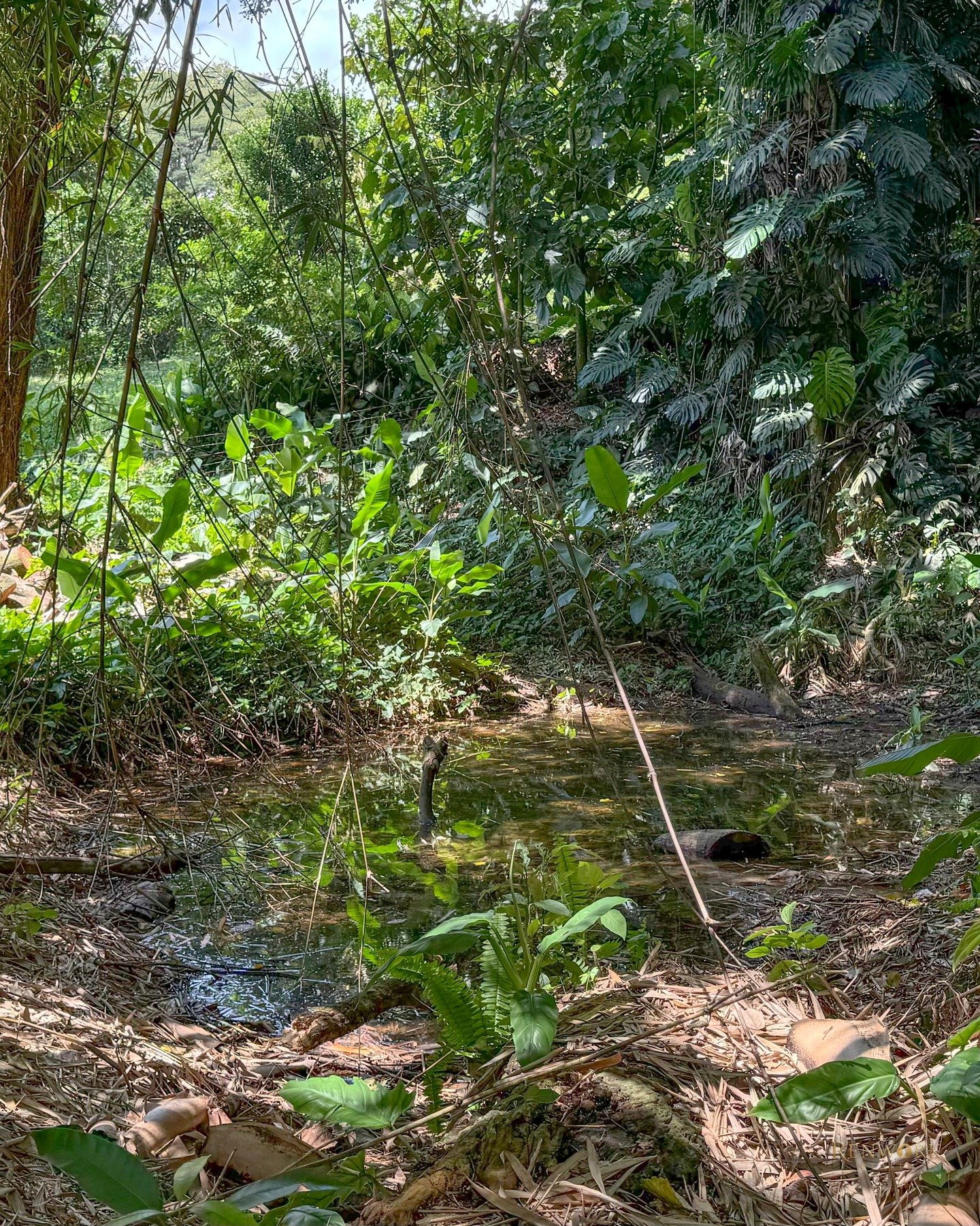 VENTA DE FINCA EN BARBOSA ANTIOQUIA · foto 7