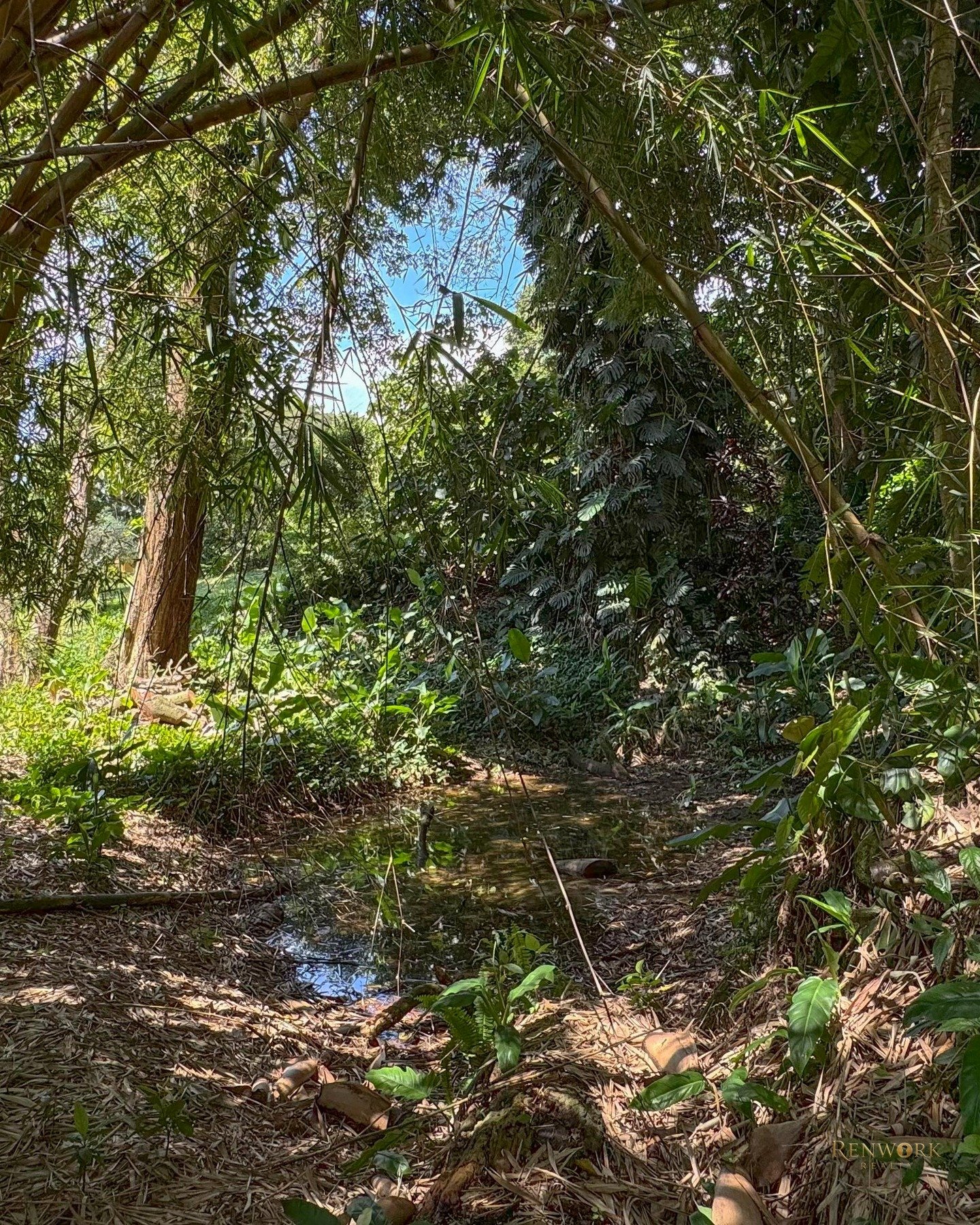 VENTA DE FINCA EN BARBOSA ANTIOQUIA · foto 6