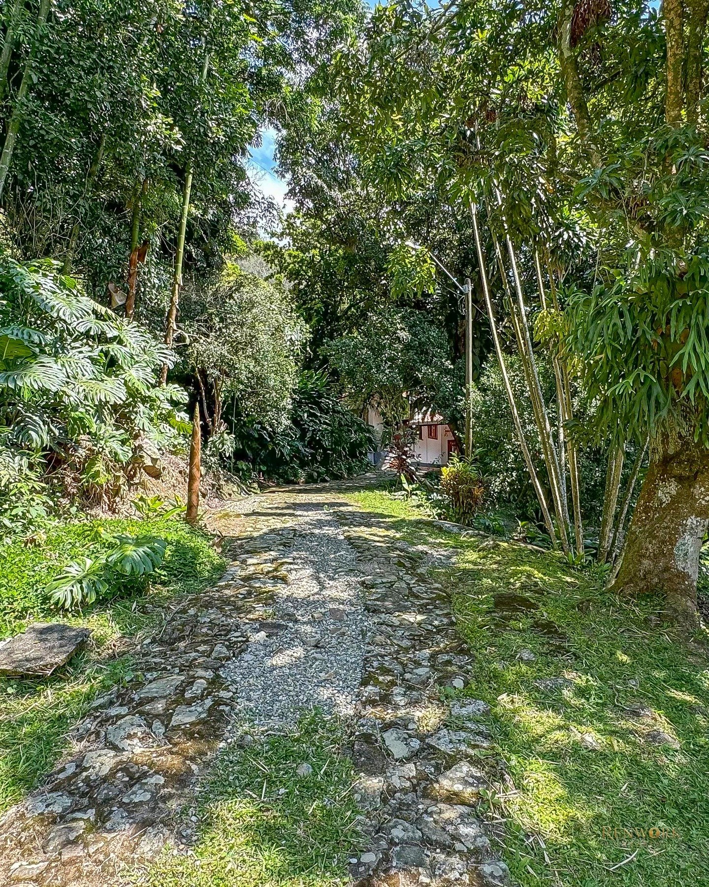 VENTA DE FINCA EN BARBOSA ANTIOQUIA · foto 23