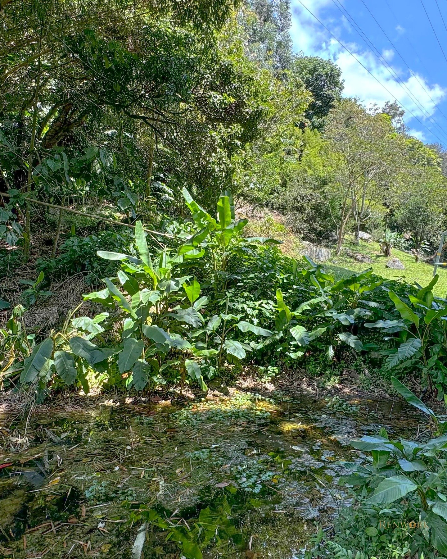 VENTA DE FINCA EN BARBOSA ANTIOQUIA · foto 8