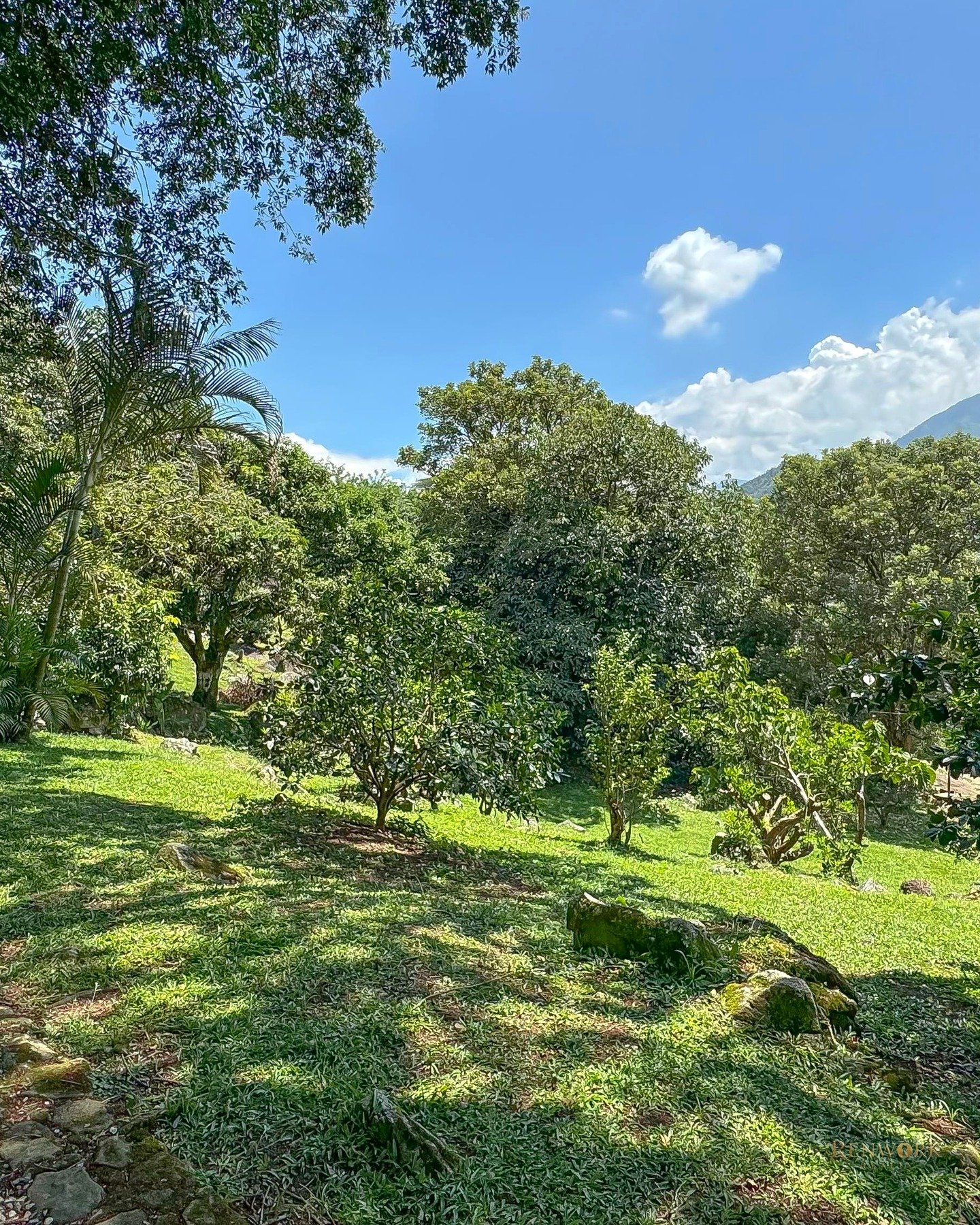 VENTA DE FINCA EN BARBOSA ANTIOQUIA · foto 18