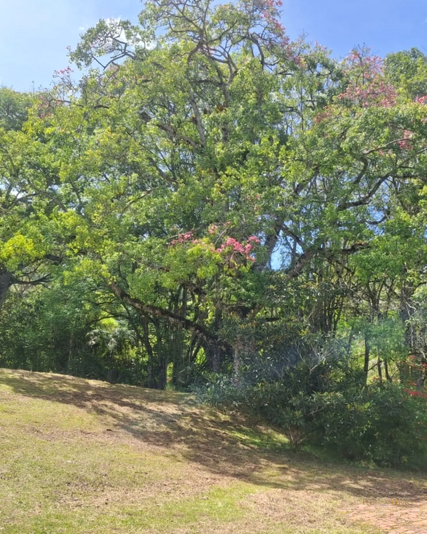 VENTA DE FINCA EN LA CEJA · foto 8