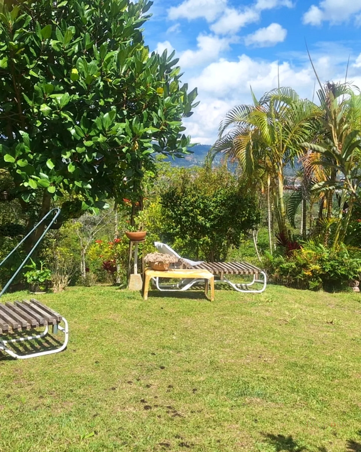 VENTA DE FINCA EN LA CEJA · foto 5