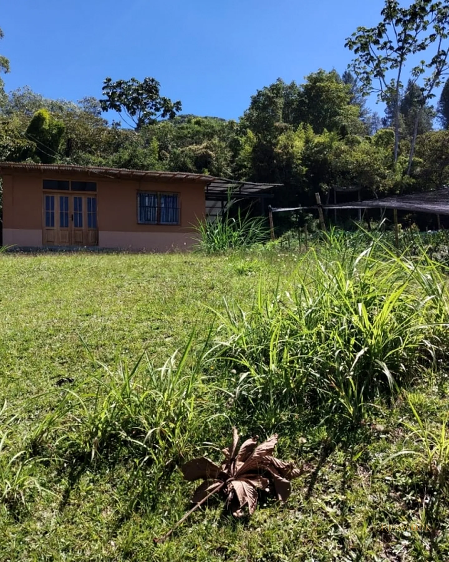 VENTA DE FINCA EN LA CEJA · foto 7