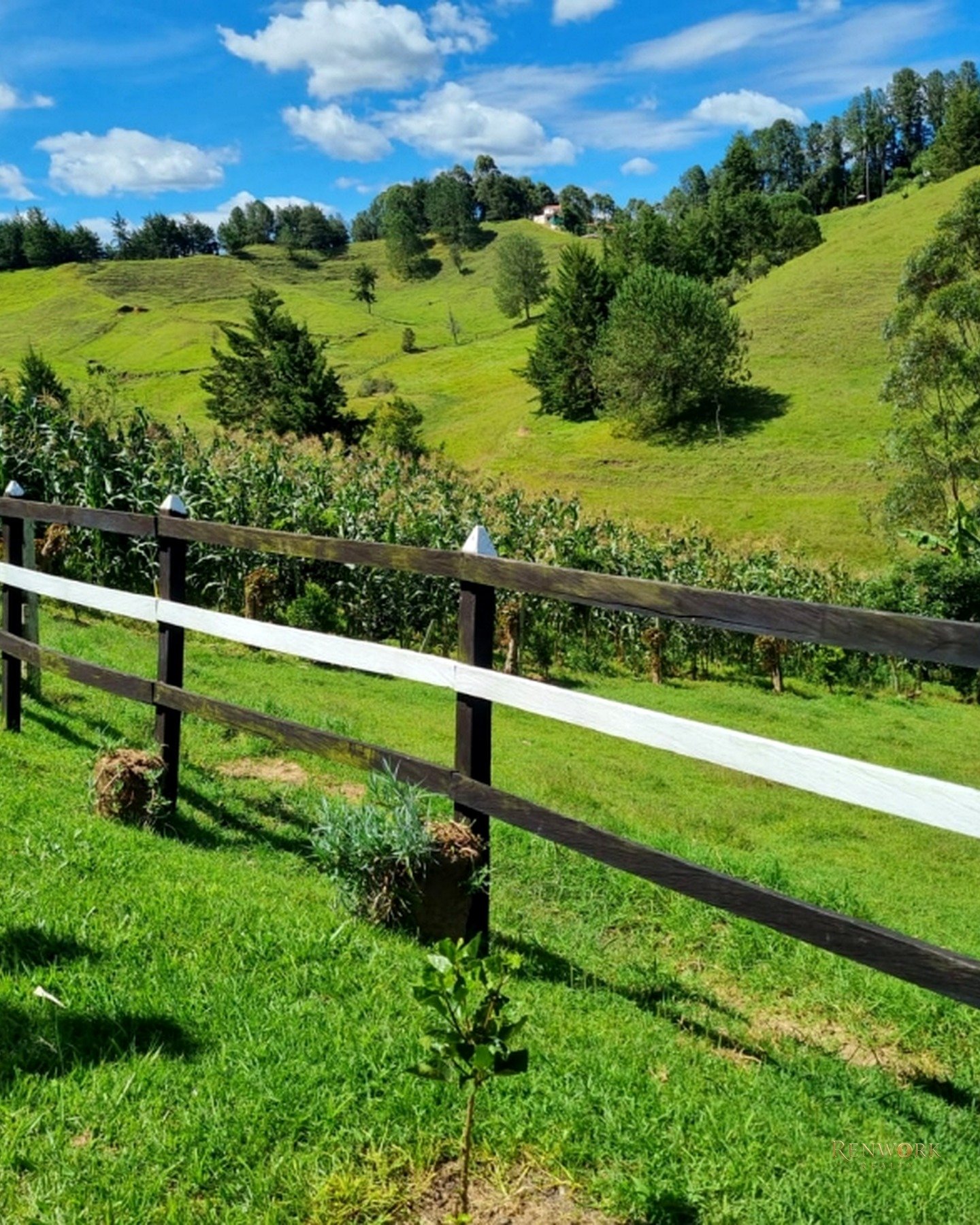 VENTA DE FINCA RIONEGRO VEREDA BARRO BLANCO · foto 4