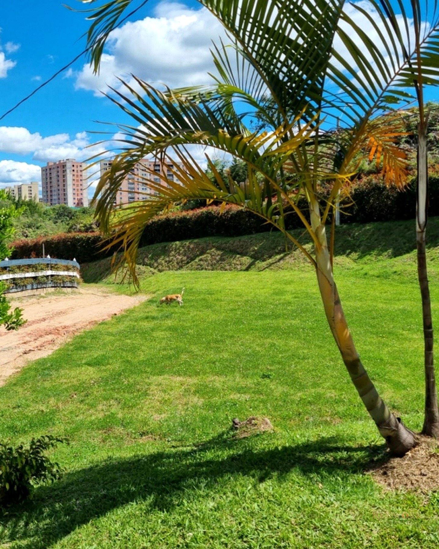 VENTA DE FINCA RIONEGRO VEREDA BARRO BLANCO · foto 22