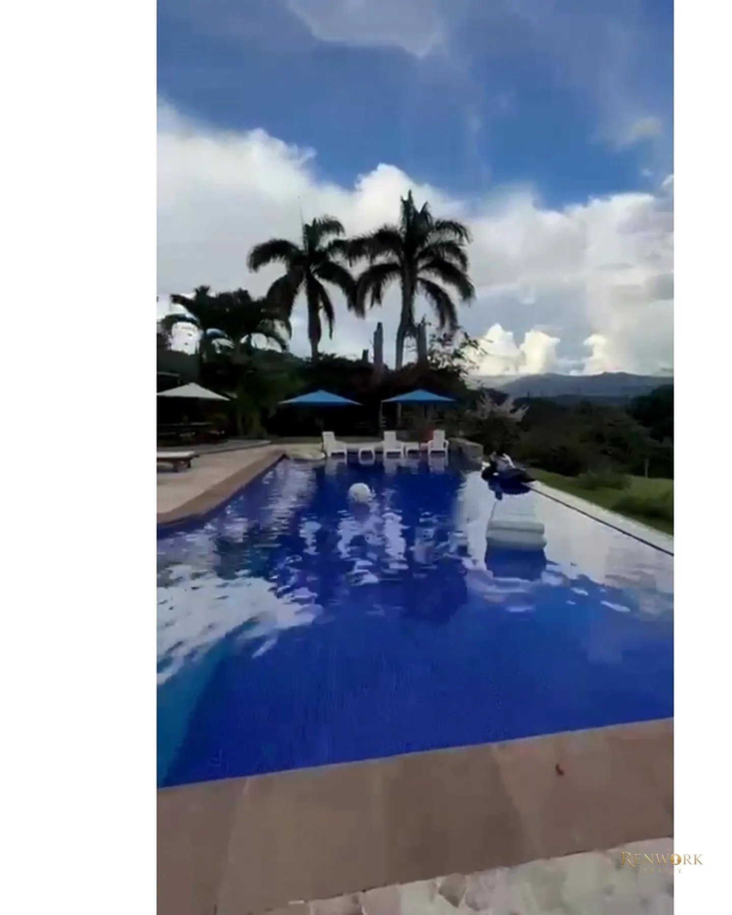 VENTA DE FINCA SECTOR MESA GUAMO PUENTE IGLESIAS FREDONIA · foto 16
