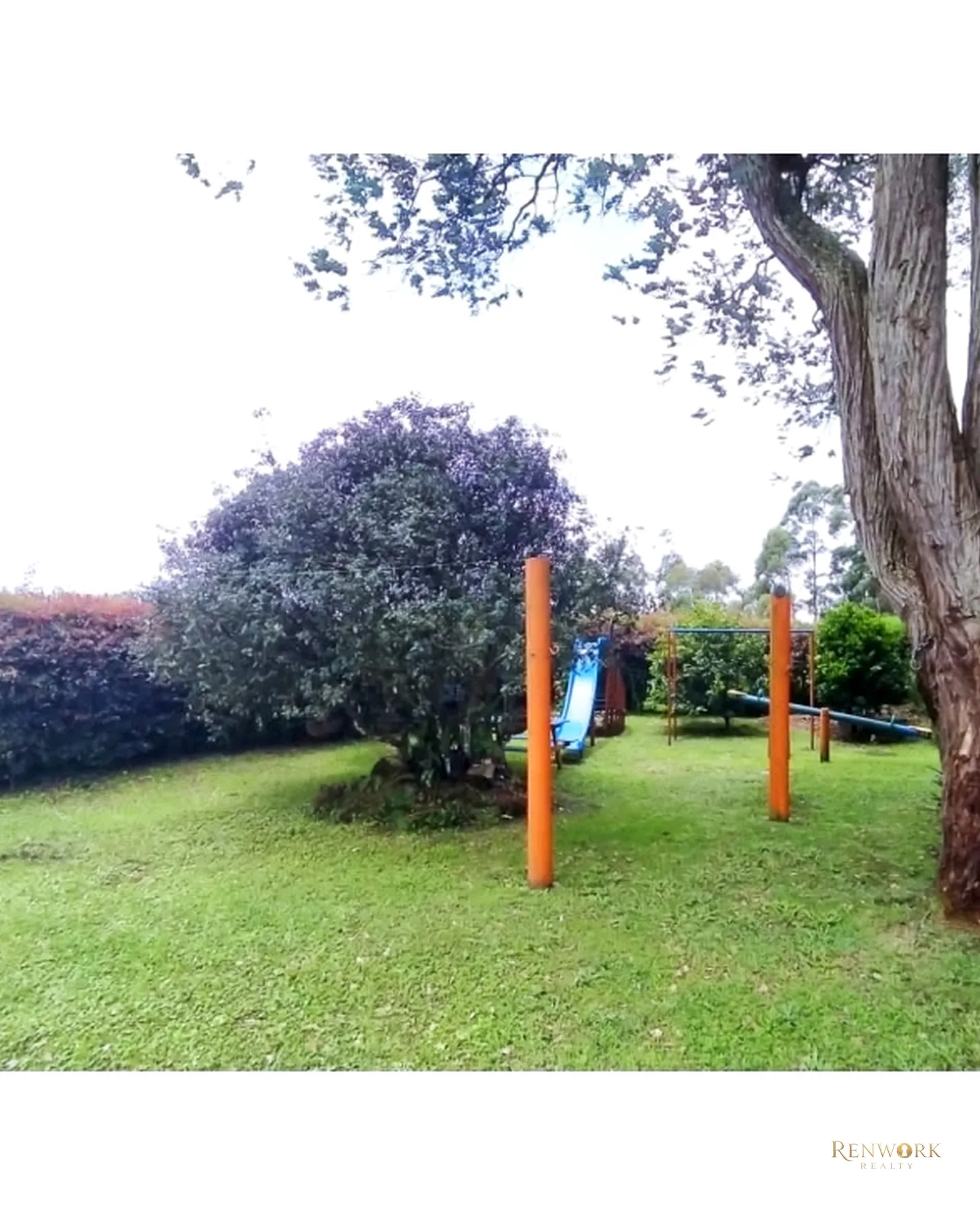 VENTA DE FINCA VEREDA LOS PINOS RIONEGRO · foto 12