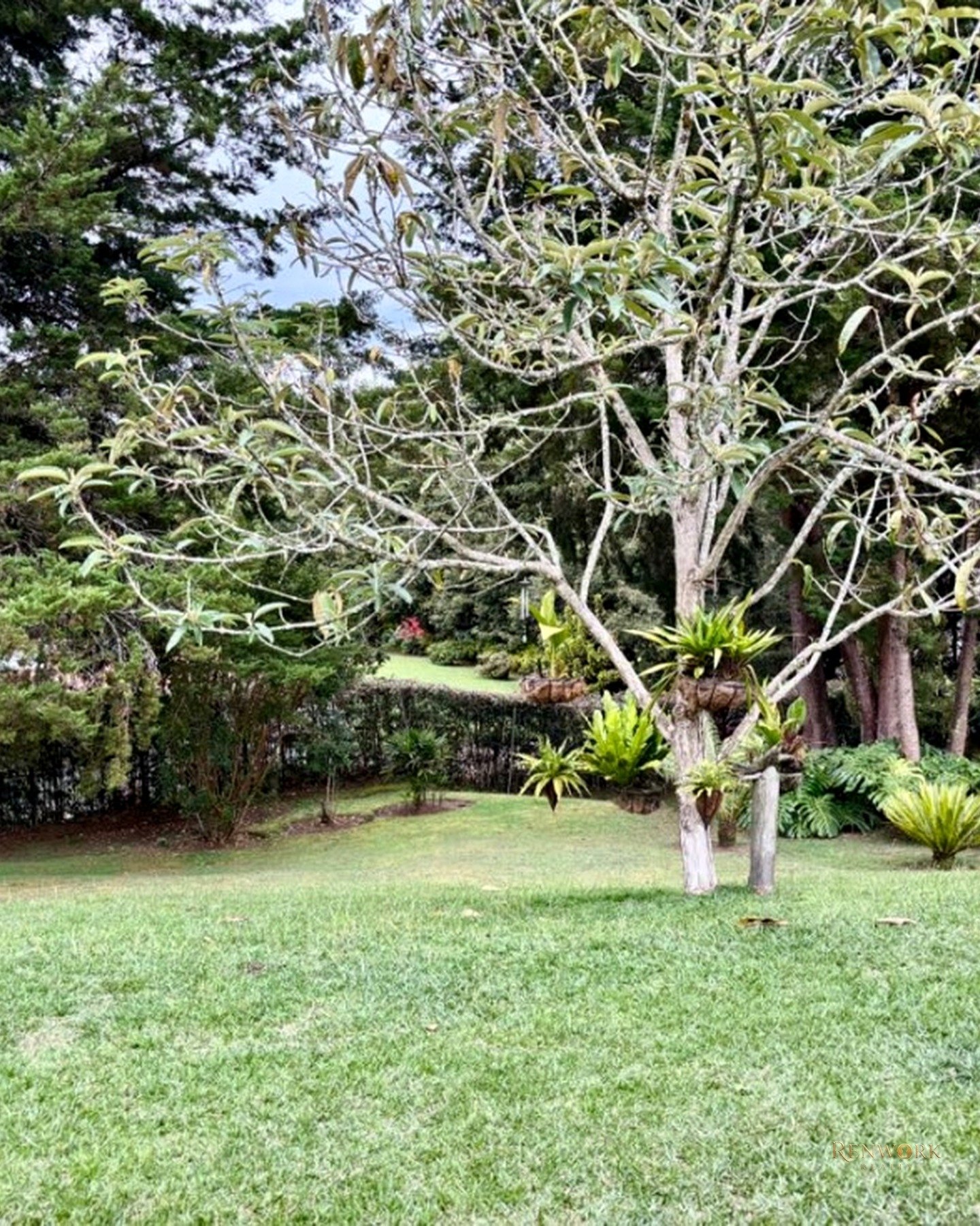 VENTA DE HERMOSA CASA EN EL CARMEN DE VIBORAL · foto 3