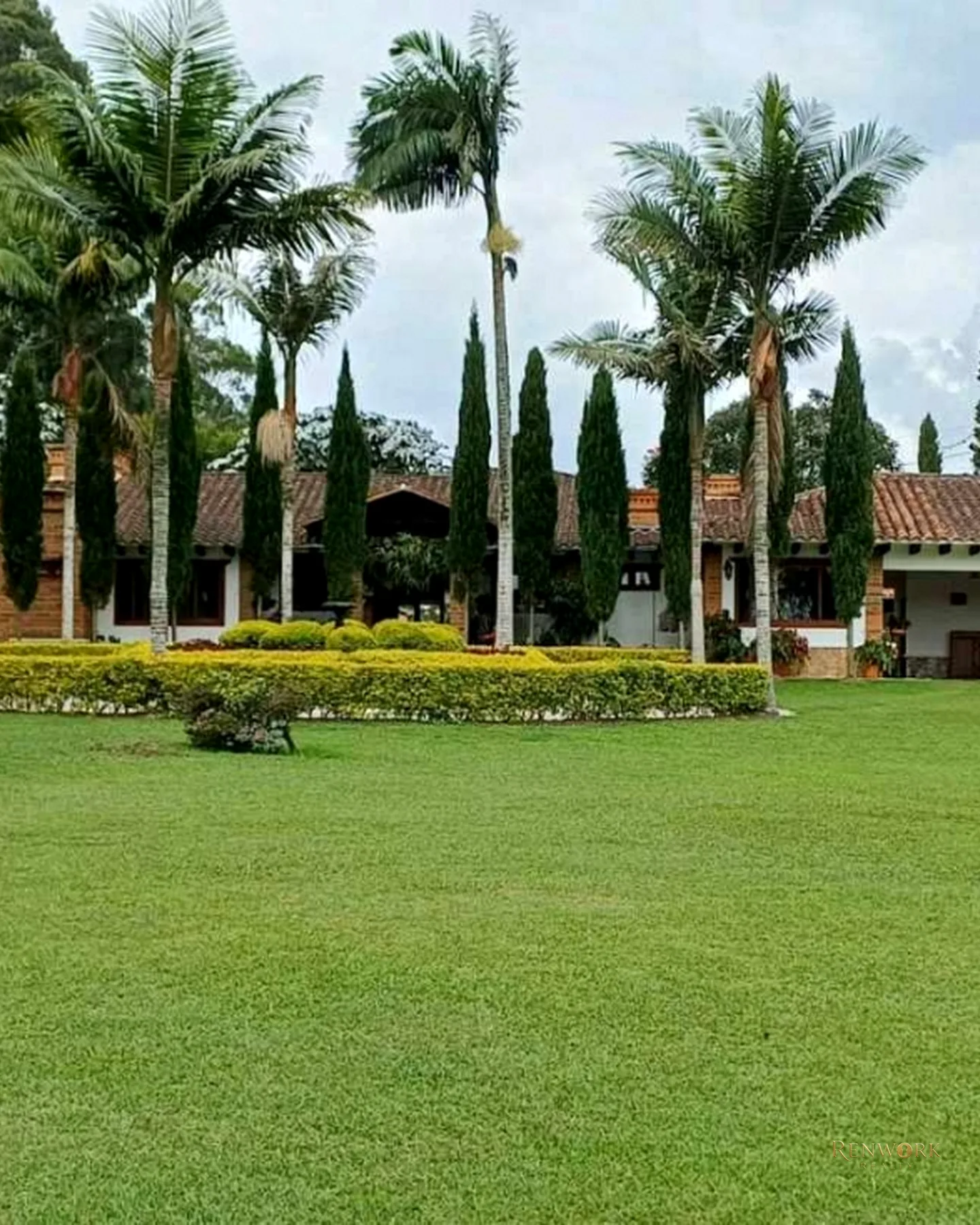 VENTA EXTRAORDINARIA FINCA DE UN SOLO NIVEL EN LLANO GRANDE · foto 4