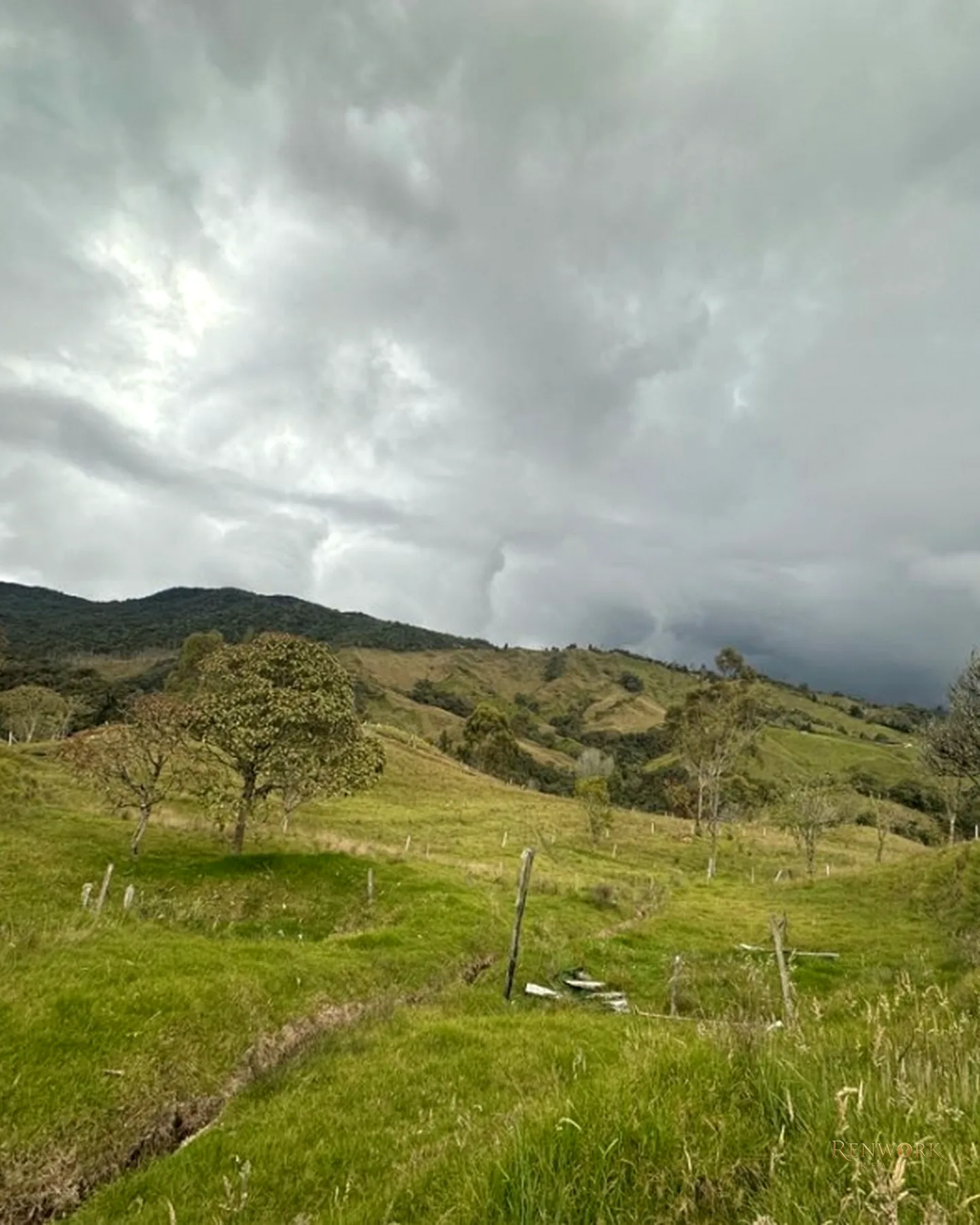 VENTA FINCA EN LA UNIÓN · foto 7