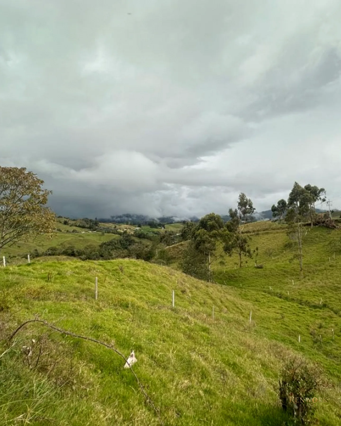 VENTA FINCA EN LA UNIÓN · foto 5