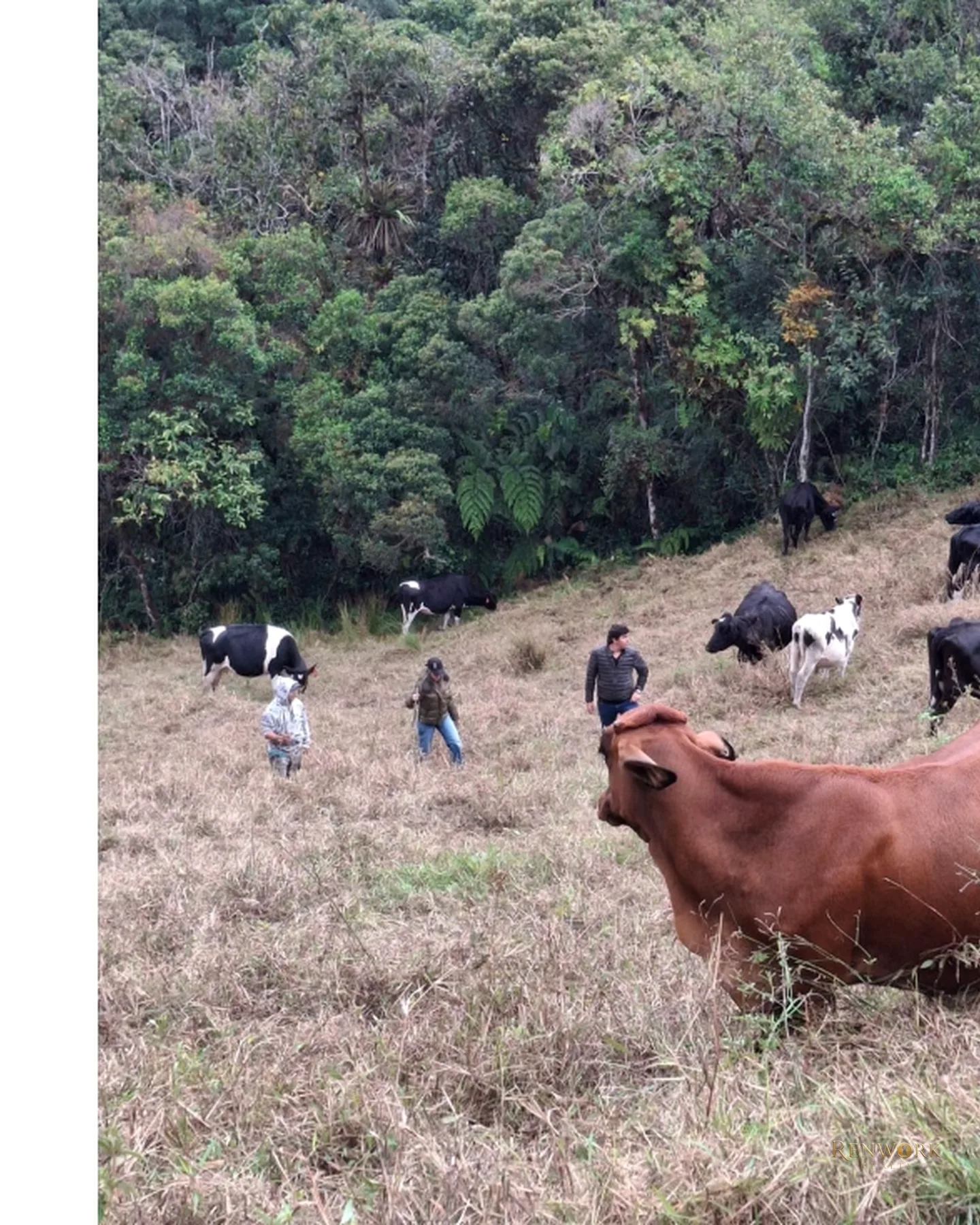 VENTA FINCA EN LA UNIÓN · foto 15