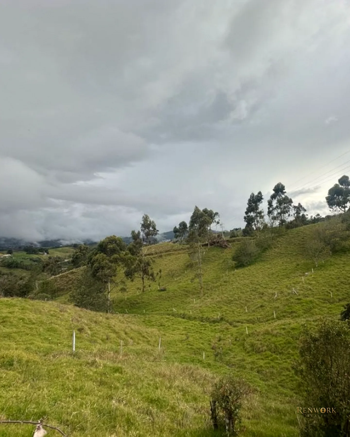 VENTA FINCA EN LA UNIÓN · foto 6