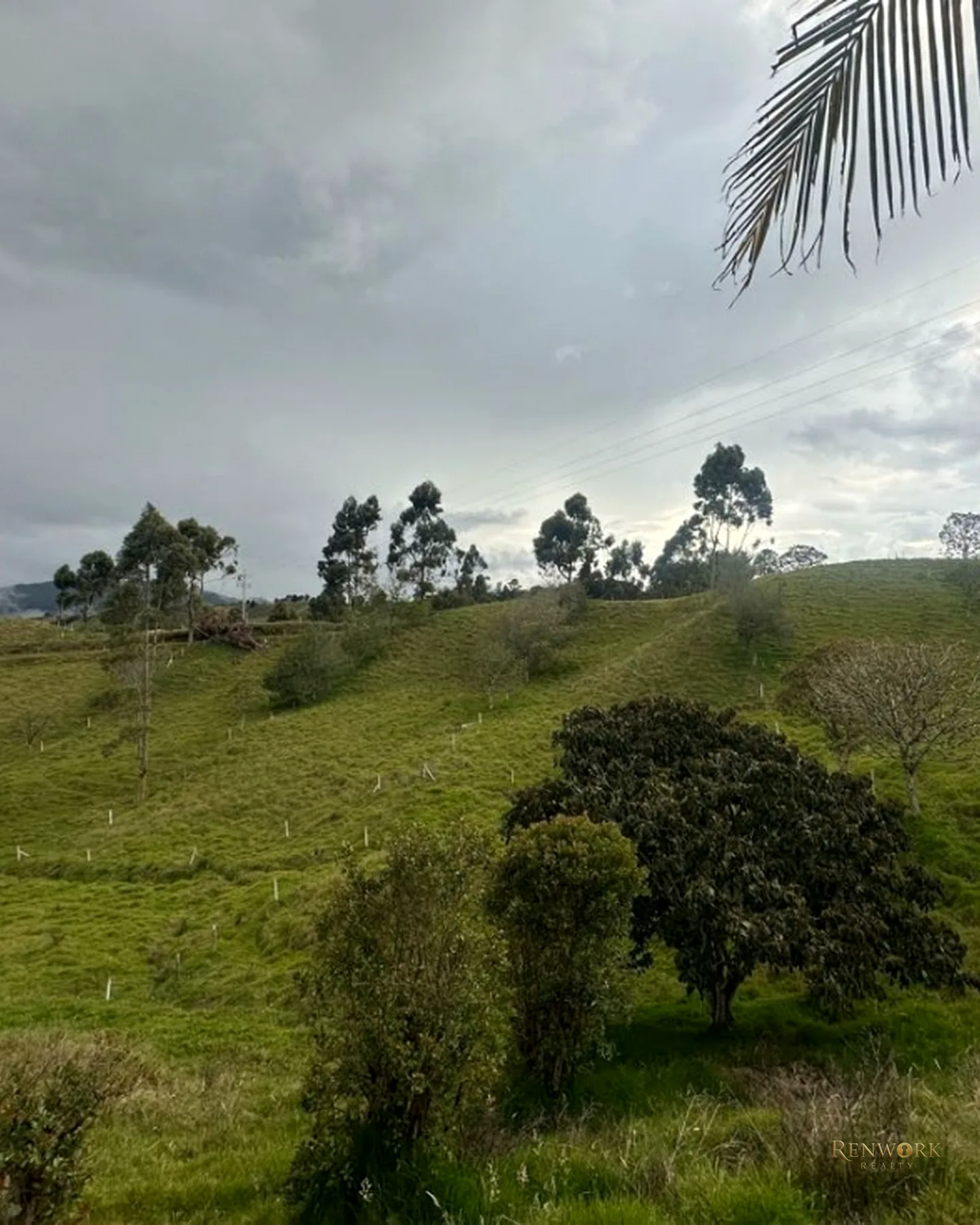 VENTA FINCA EN LA UNIÓN · foto 4