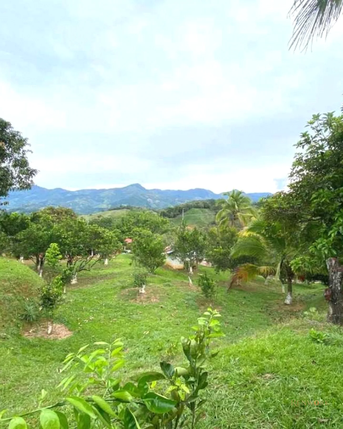 VENTA FINCA EN PORCE ANTIOQUIA,9.282 MT2 DE LOTE, A 63 KM DE MEDELLÍN! · foto 15
