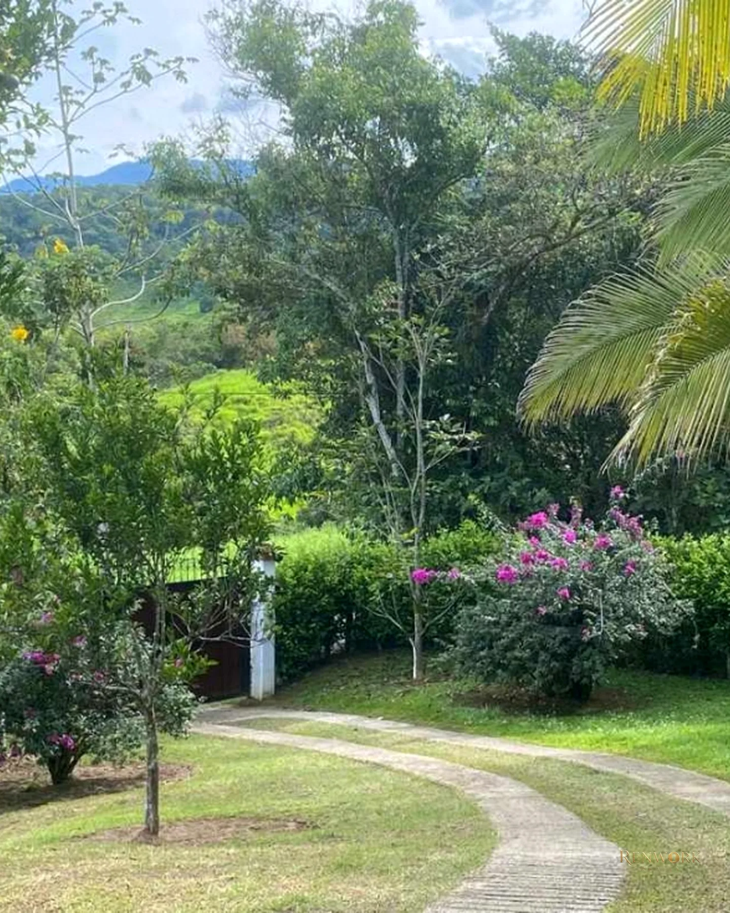 VENTA FINCA EN PORCE ANTIOQUIA,9.282 MT2 DE LOTE, A 63 KM DE MEDELLÍN! · foto 17