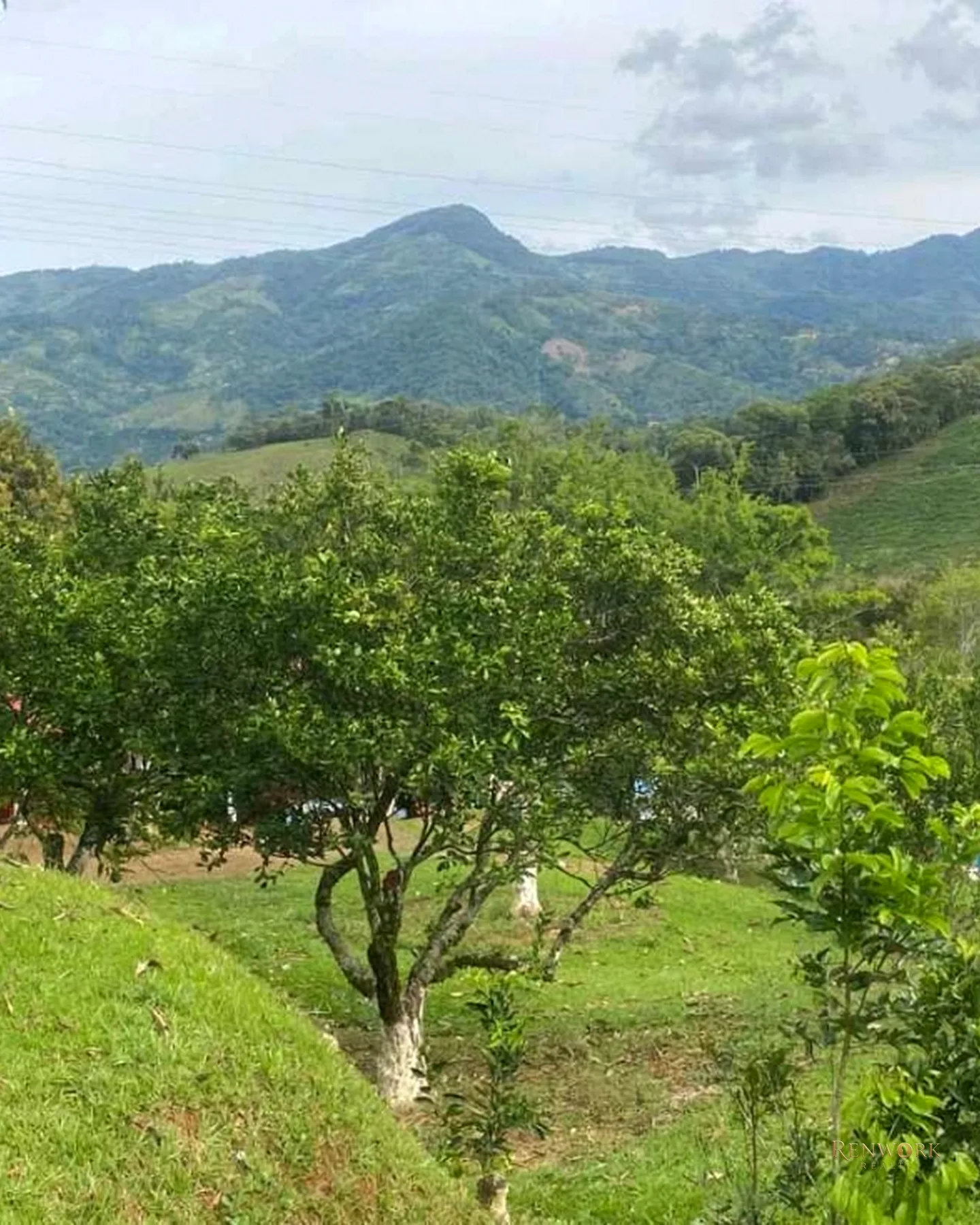 VENTA FINCA EN PORCE ANTIOQUIA,9.282 MT2 DE LOTE, A 63 KM DE MEDELLÍN! · foto 18