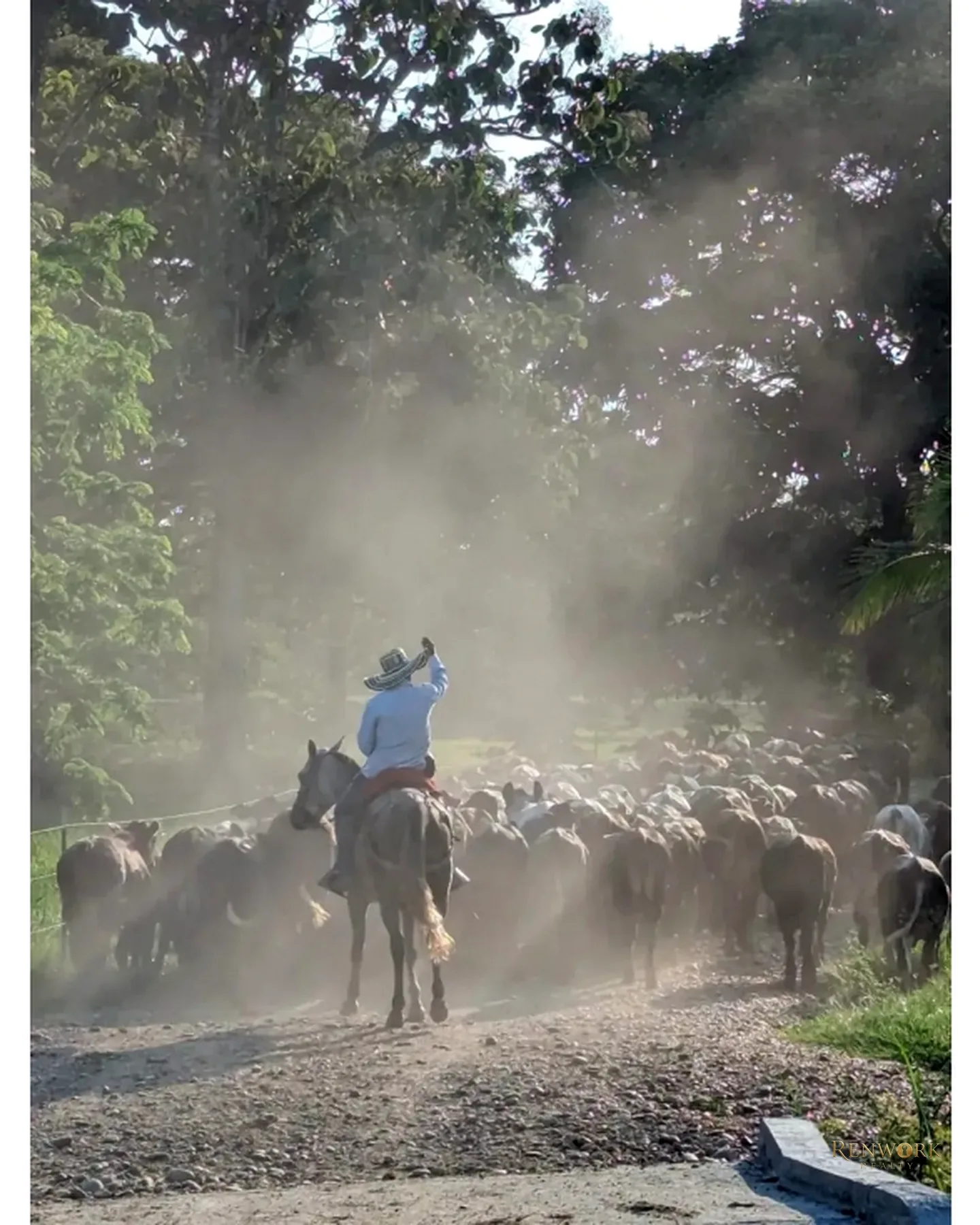 VENTA FINCA GANADERA CON 560 HECTÁREAS MAGDALENA MEDIO CUNDINAMARCA · foto 12