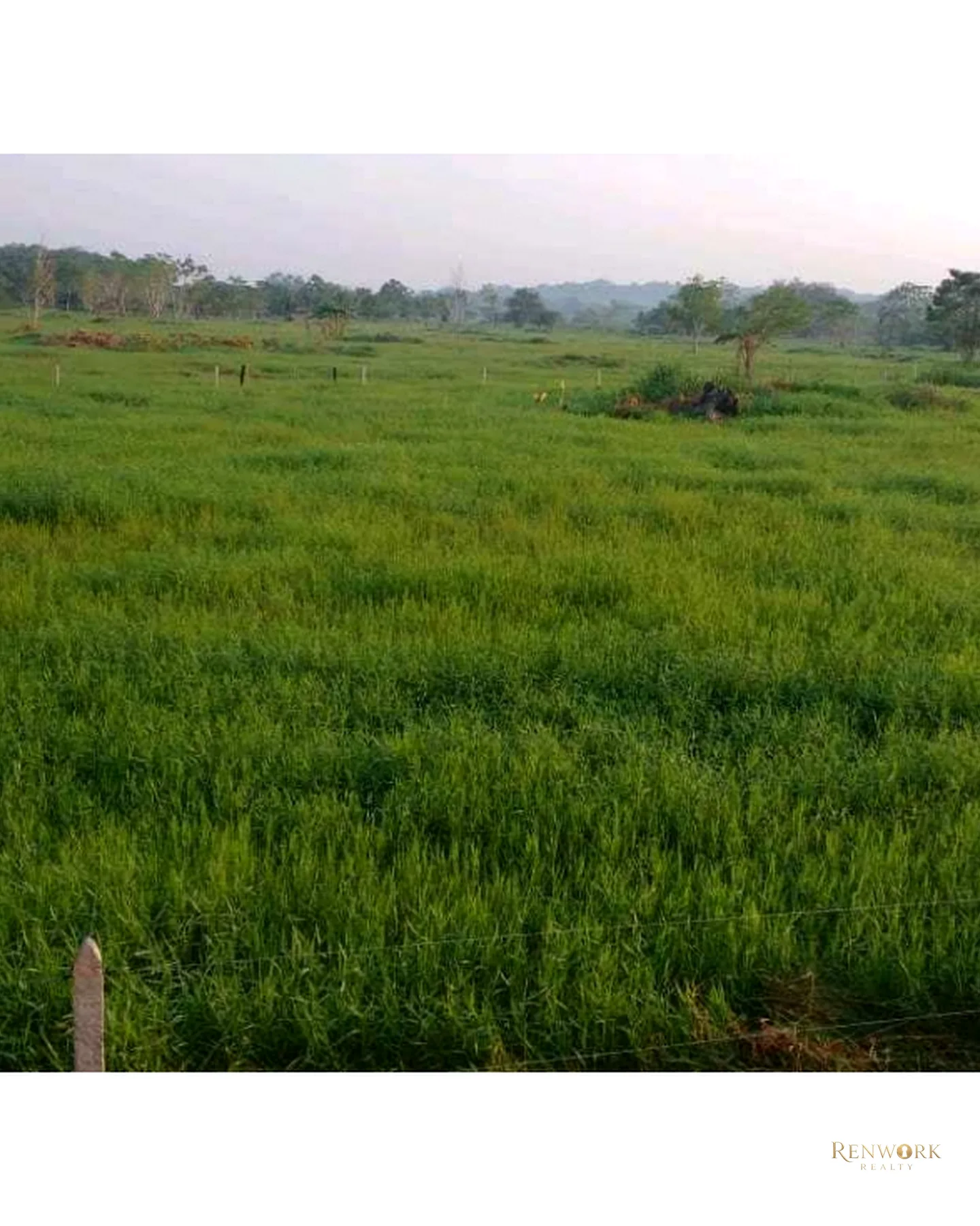 VENTA FINCA PARA CEBA ENTRE PERTO BOYACÁ Y P.BERRÍO SOBRE RUTA DEL SOL · foto 2