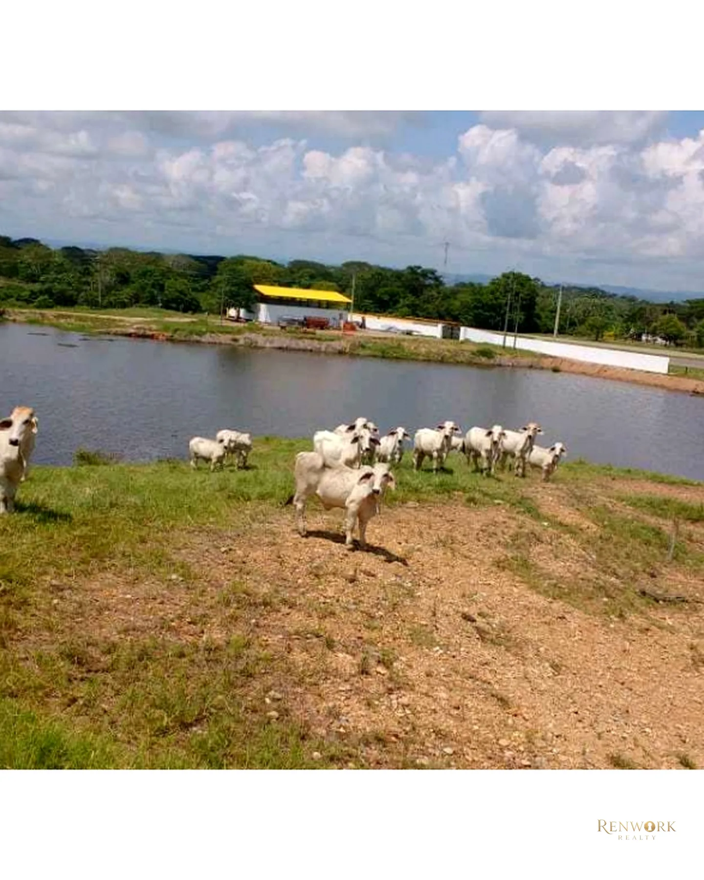 VENTA FINCA PARA CEBA ENTRE PERTO BOYACÁ Y P.BERRÍO SOBRE RUTA DEL SOL · foto 13