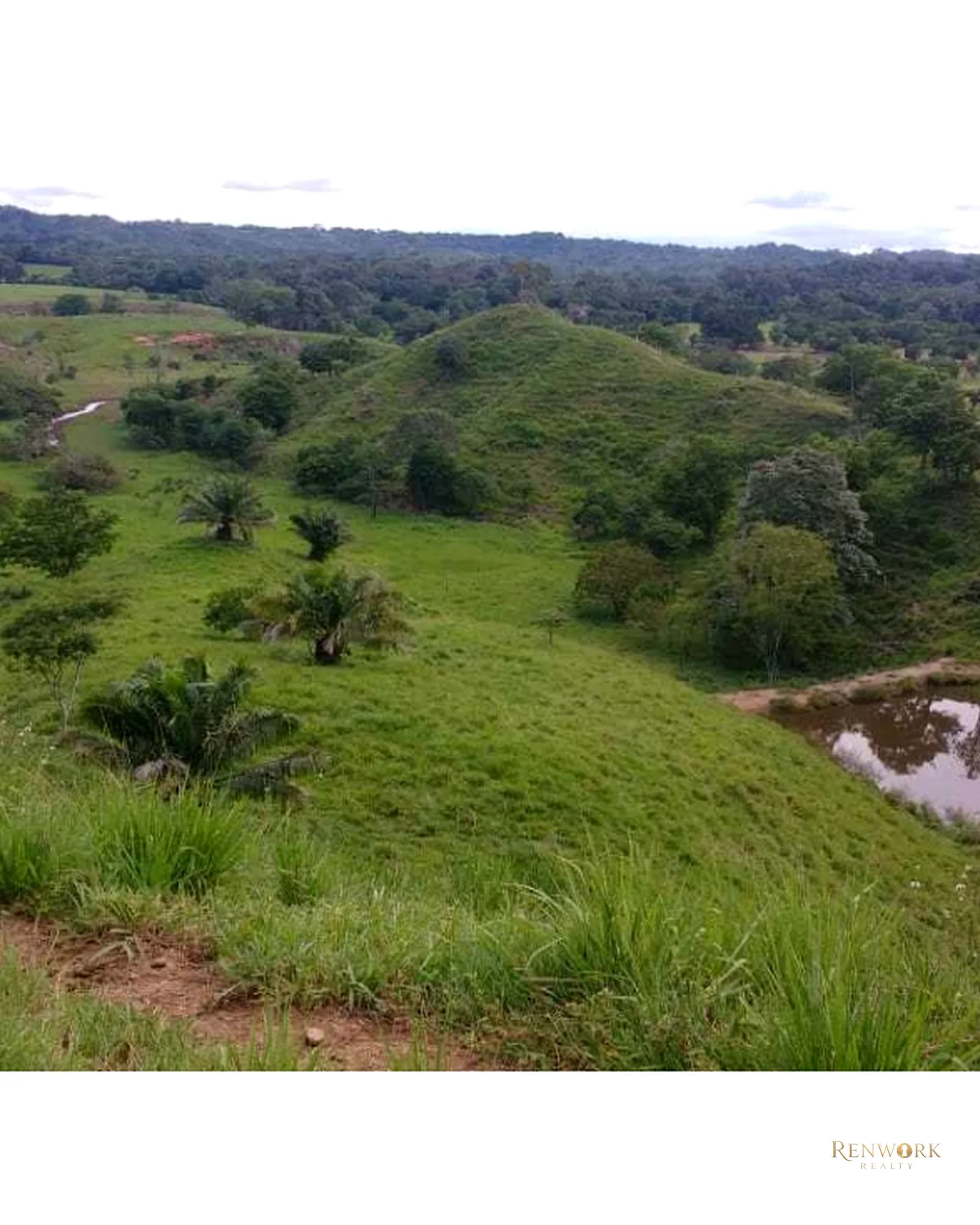 VENTA FINCA PARA CEBA ENTRE PERTO BOYACÁ Y P.BERRÍO SOBRE RUTA DEL SOL · foto 10